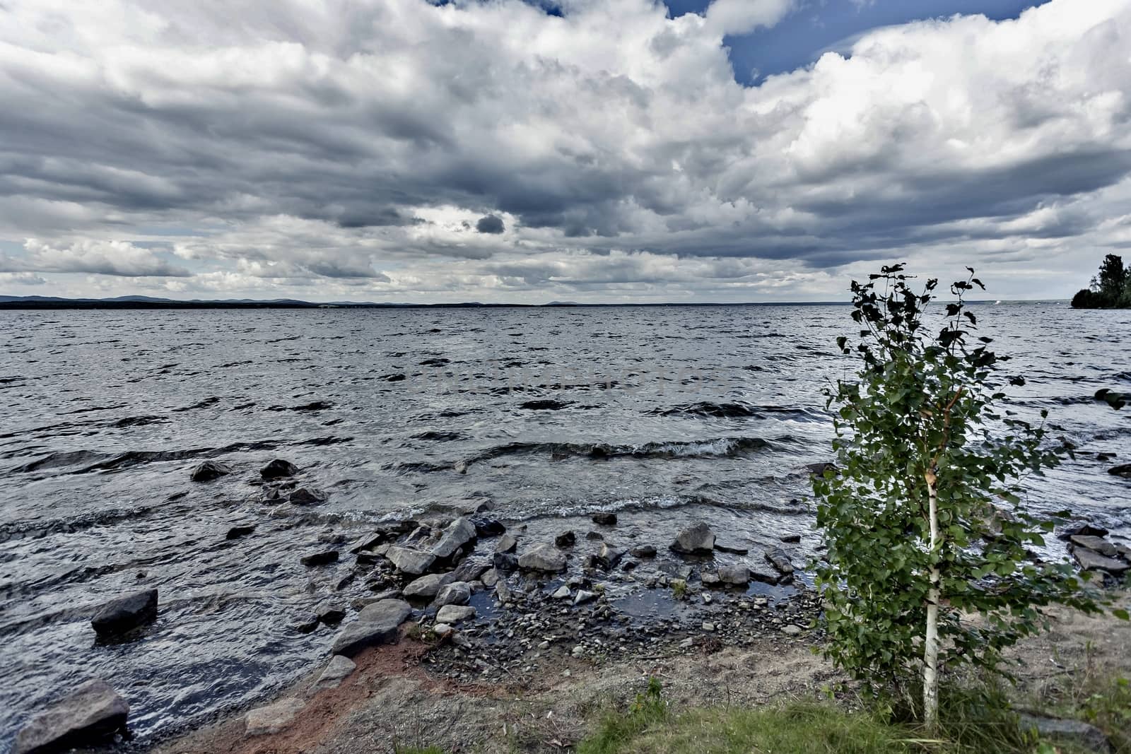 wooded shore against the lake and cloudy sky on summer day