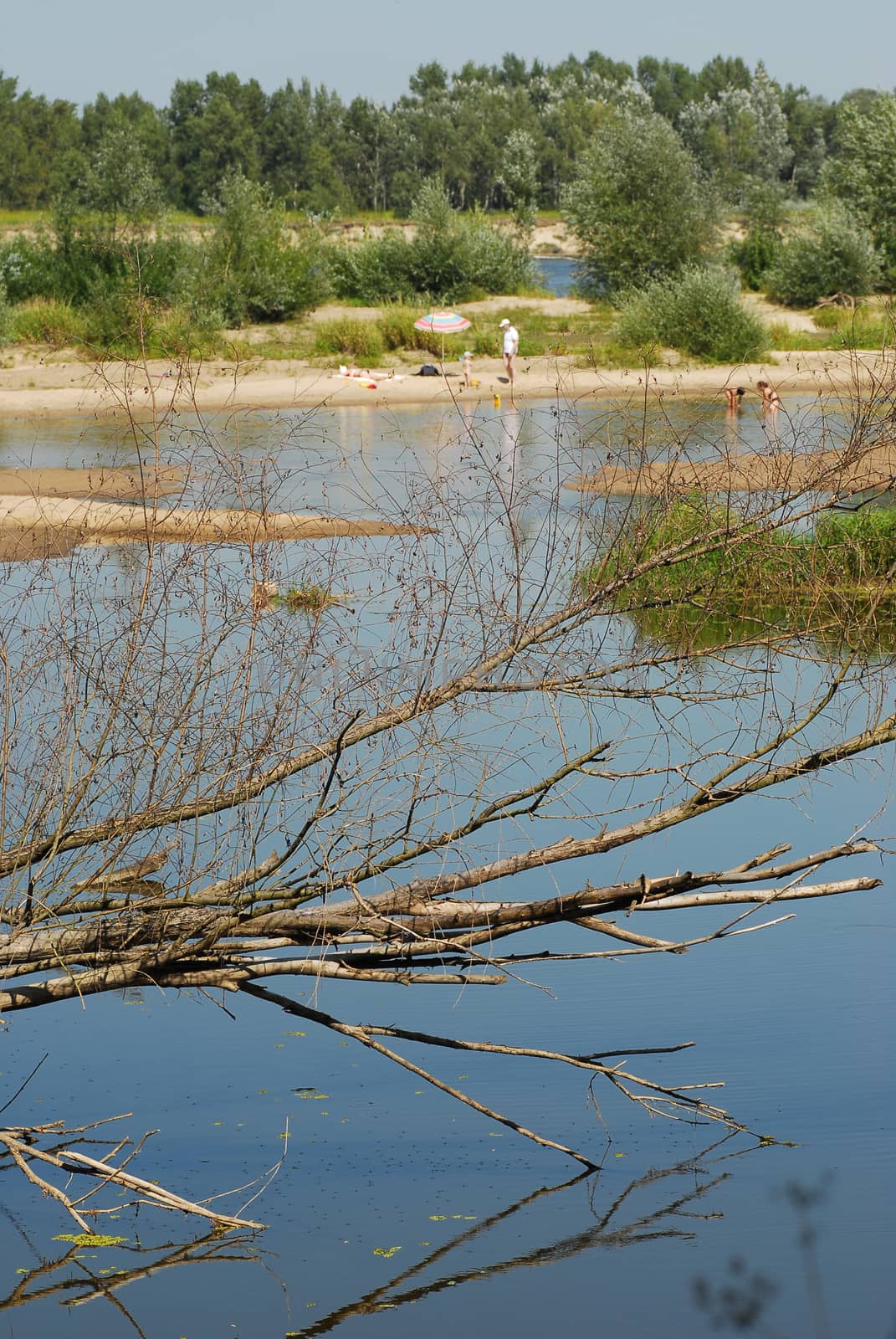 Family rest in the bosom of nature, far away from civilization. Sharpness on first plan.