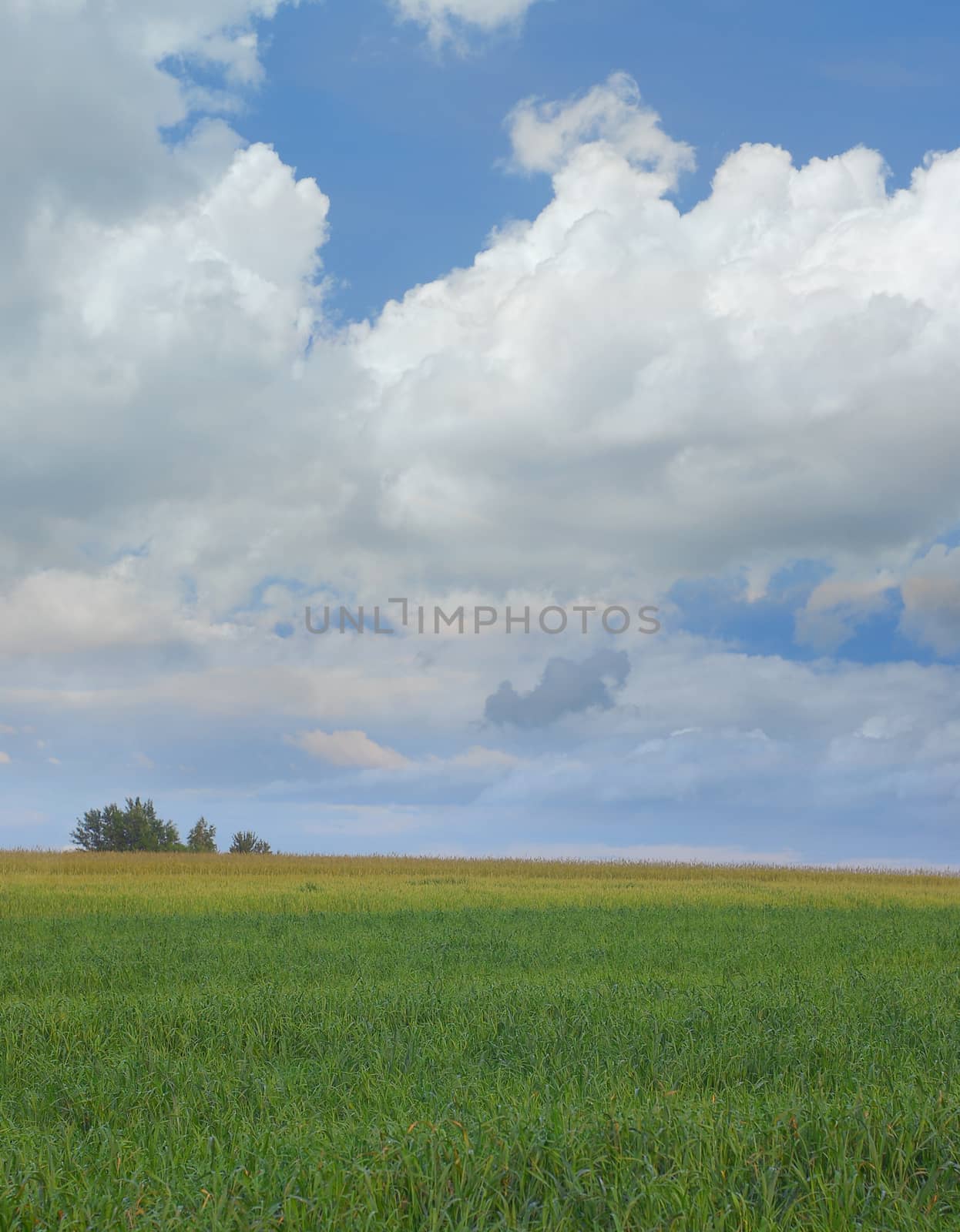 Simple european countryside landscape. Agriculture rural area.