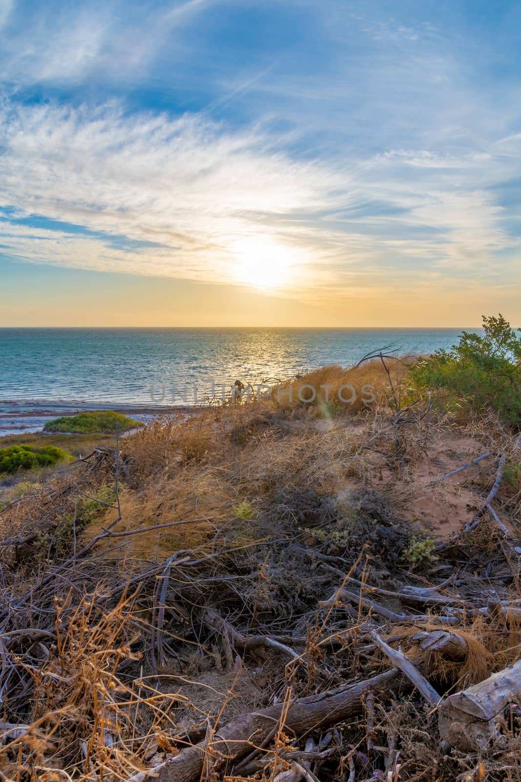 Coastal dune landscape in Shark Bay Western Australia during beautiful sunset by MXW_Stock