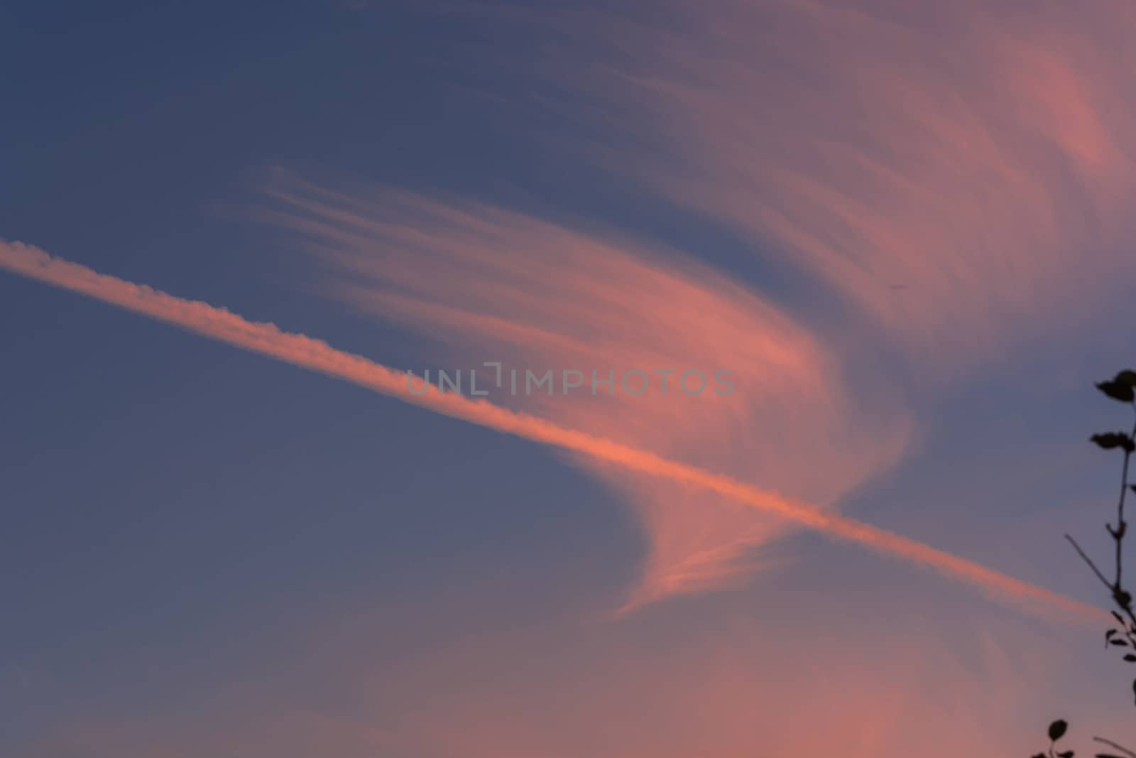 Cloudscape, white clouds in the summer sky