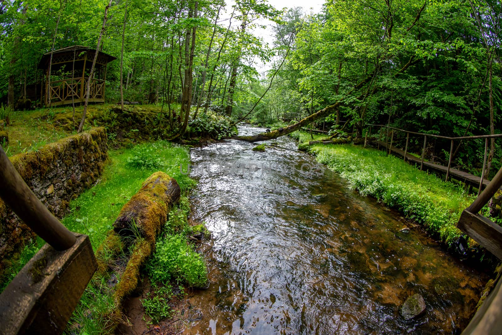 Forest with river, wooden bridge and hut by fotorobs