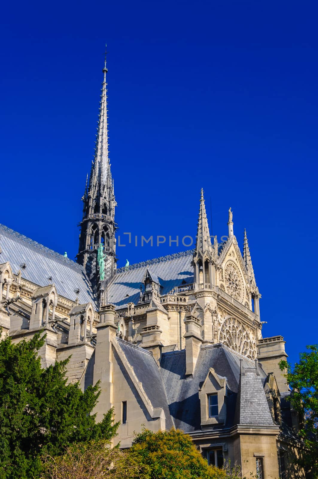 PARIS, FRANCE - APRIL 15, 2019: Notre Dame de Paris cathedral, France. Gothic architecture by Eagle2308