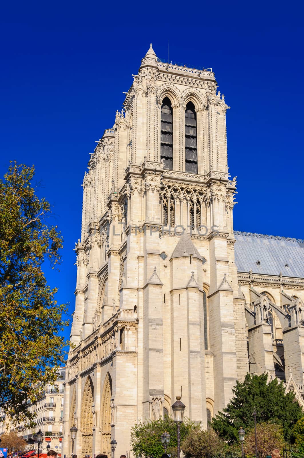 PARIS, FRANCE - APRIL 15, 2019: Notre Dame de Paris cathedral in France. Gothic architecture