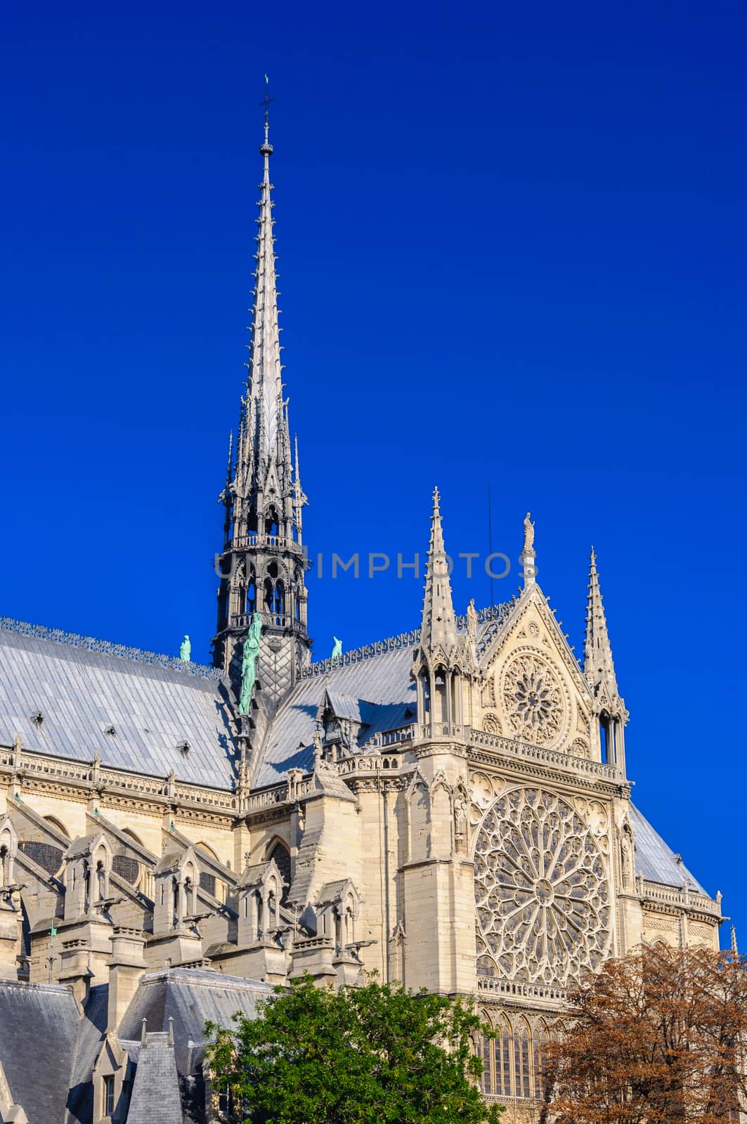 PARIS, FRANCE - APRIL 15, 2019: Notre Dame de Paris cathedral, France. Gothic architecture by Eagle2308