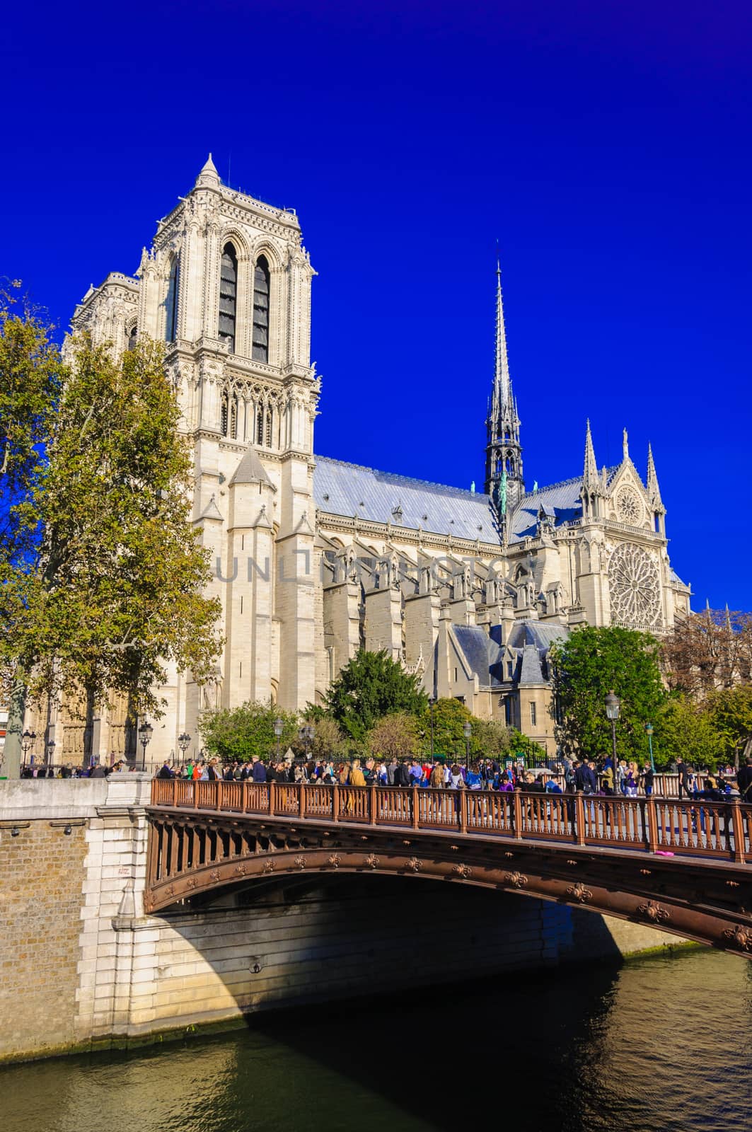 PARIS, FRANCE - APRIL 15, 2019: Notre Dame de Paris cathedral in France. Gothic architecture