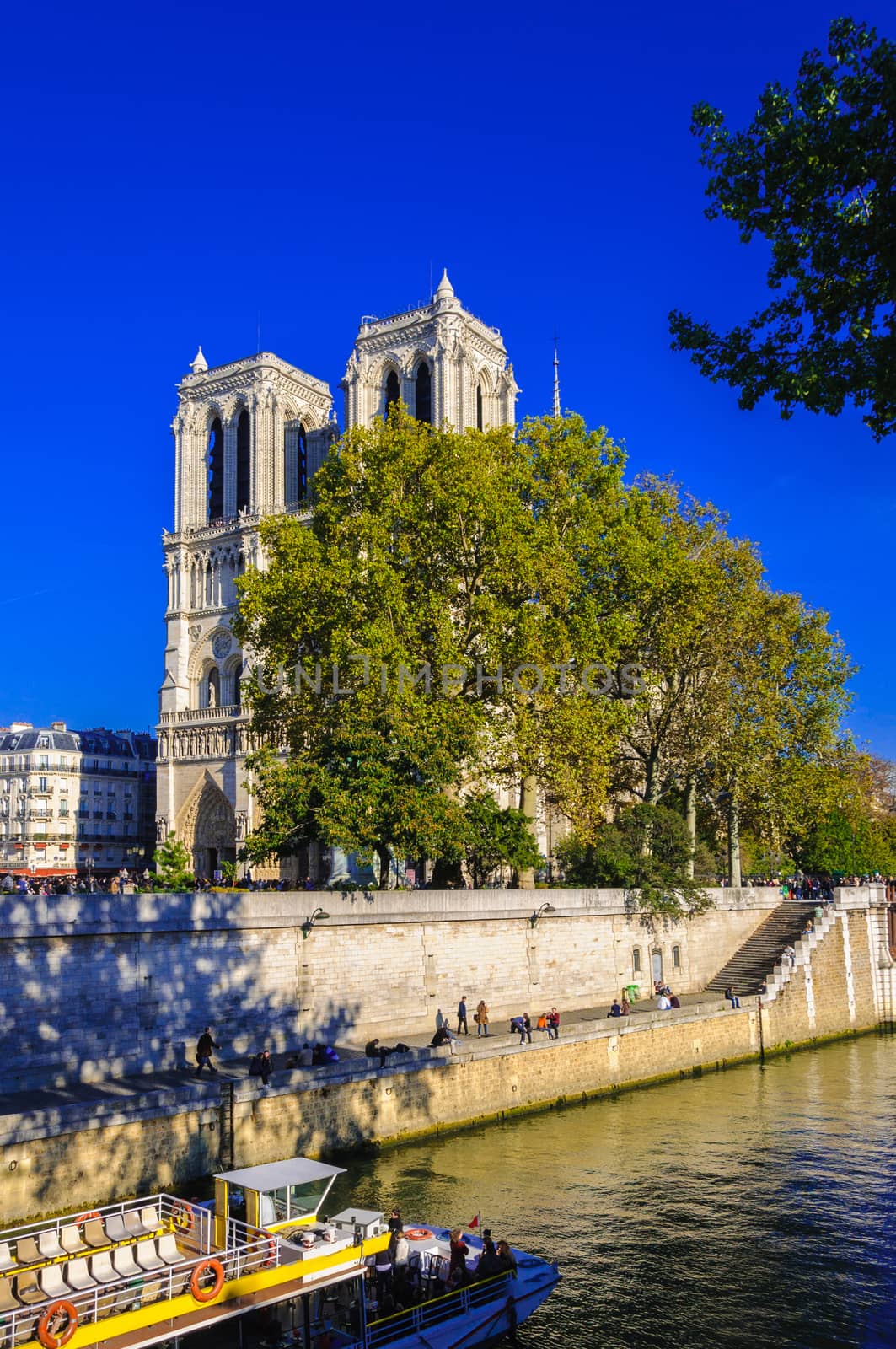 PARIS, FRANCE - APRIL 15, 2019: Notre Dame de Paris cathedral in France. Gothic architecture