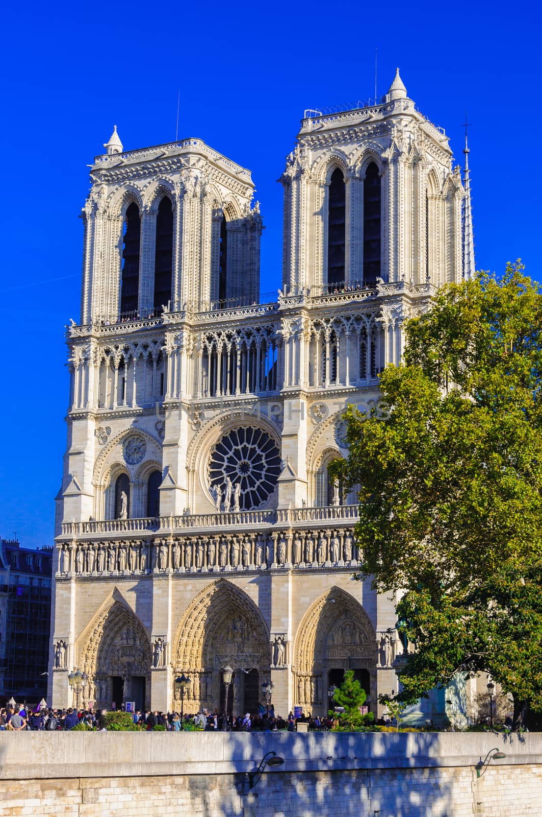 PARIS, FRANCE - APRIL 15, 2019: Notre Dame de Paris cathedral in France. Gothic architecture