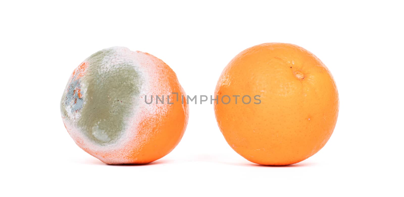 Rotten orange isolated on a white background