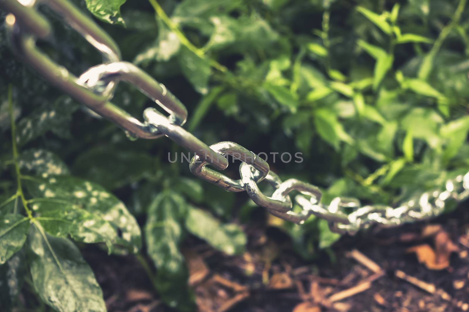 metal chain along the bushes in the park, the passage is blocked, a restricted area - photo, image. Selective soft focus.
