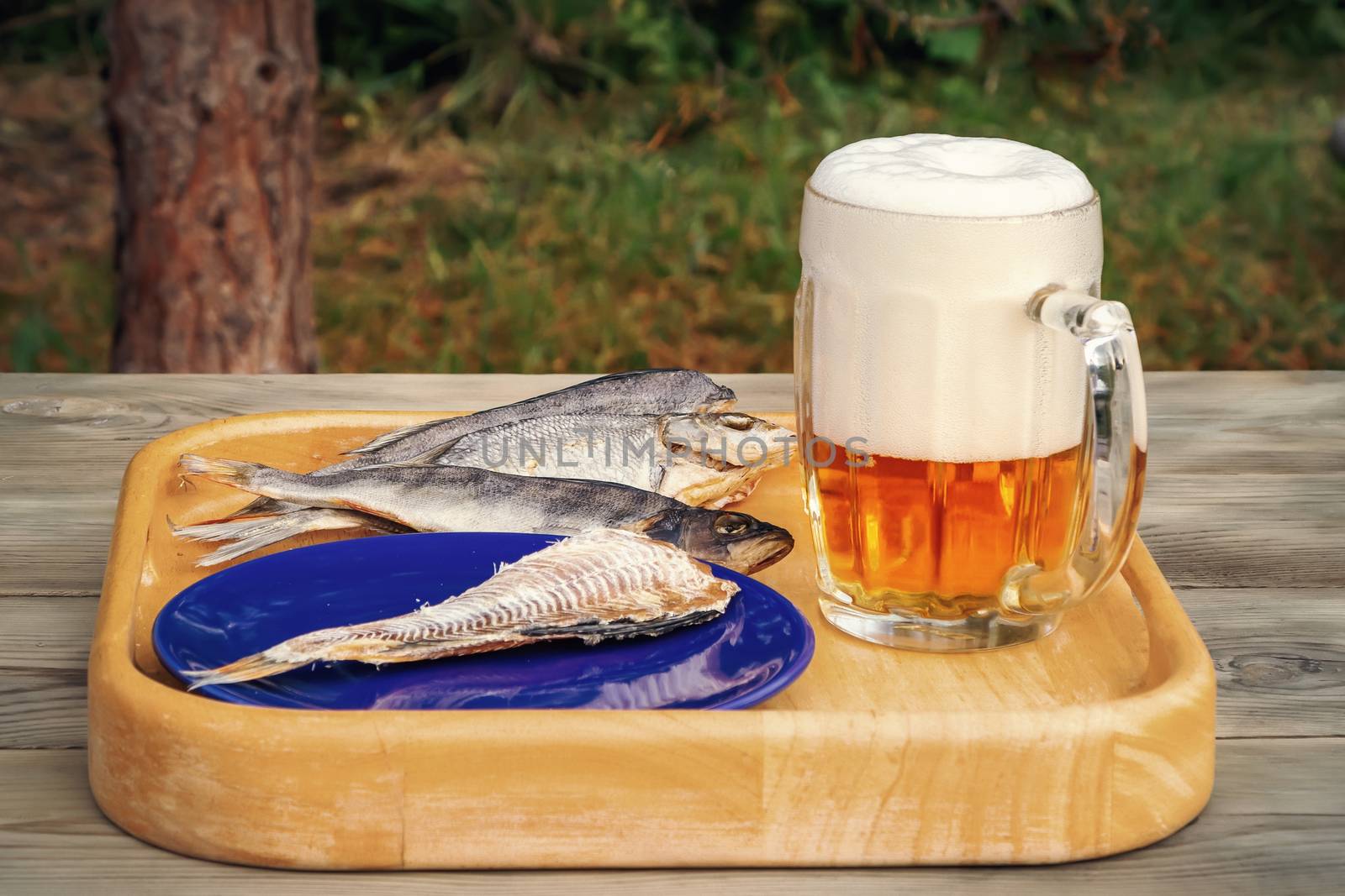 Mug of light beer and dried fish on a wooden table in a summer day outdoors - photo, image.