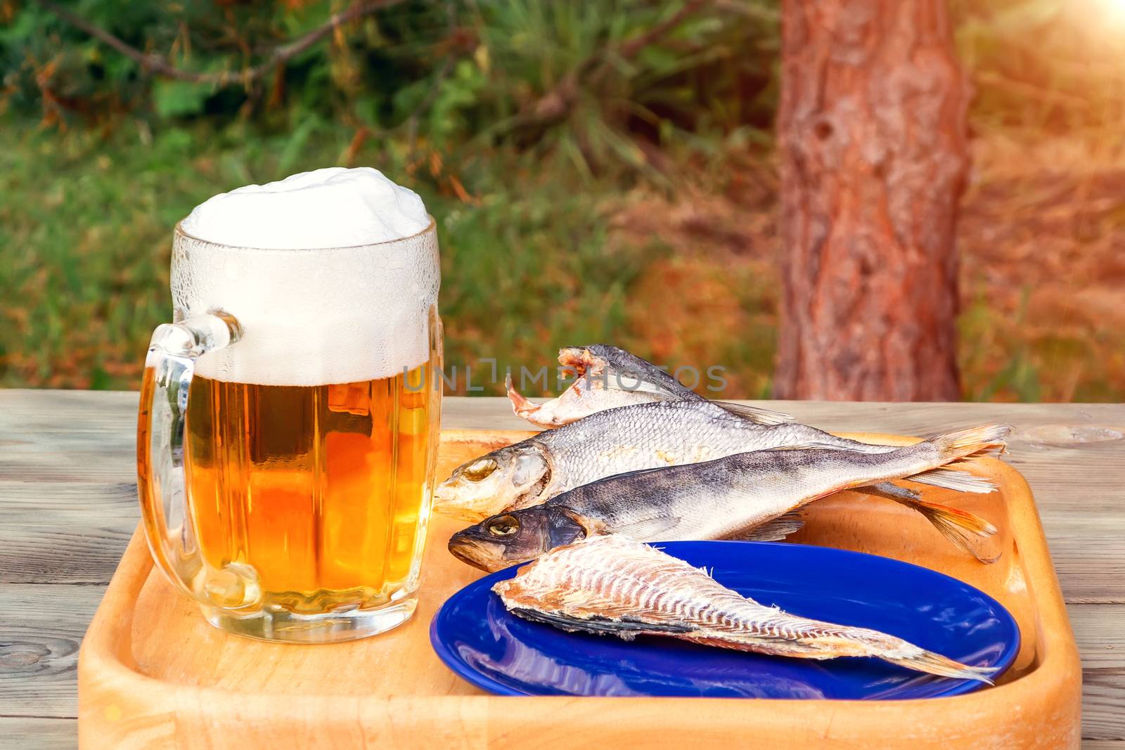 Mug of light beer and dried fish on a wooden table in a summer day outdoors - photo, image by galsand