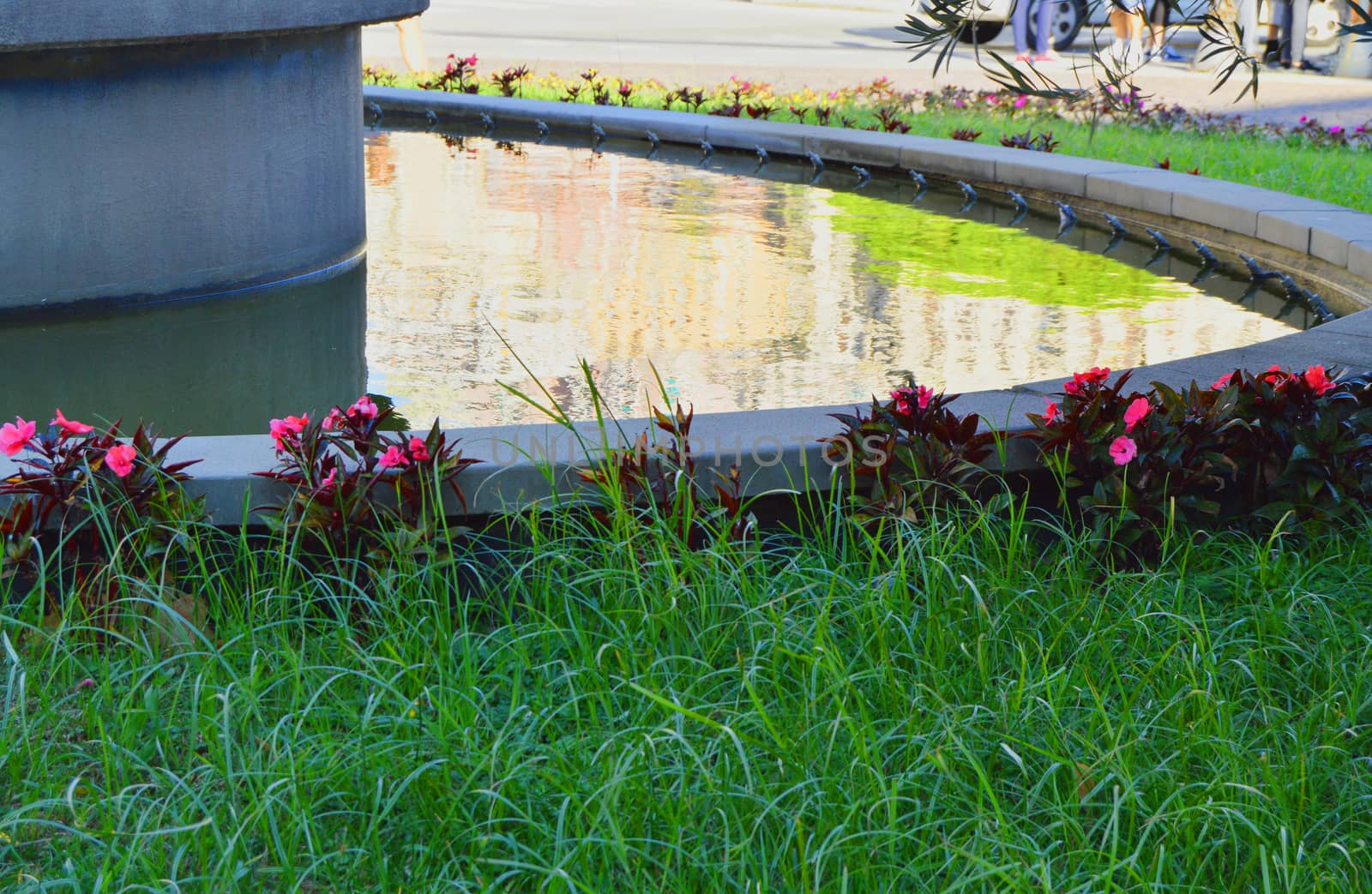 Part of the fountain with lawn and pond in front of the Sea station in Genoa, the water reflects the sunlight.