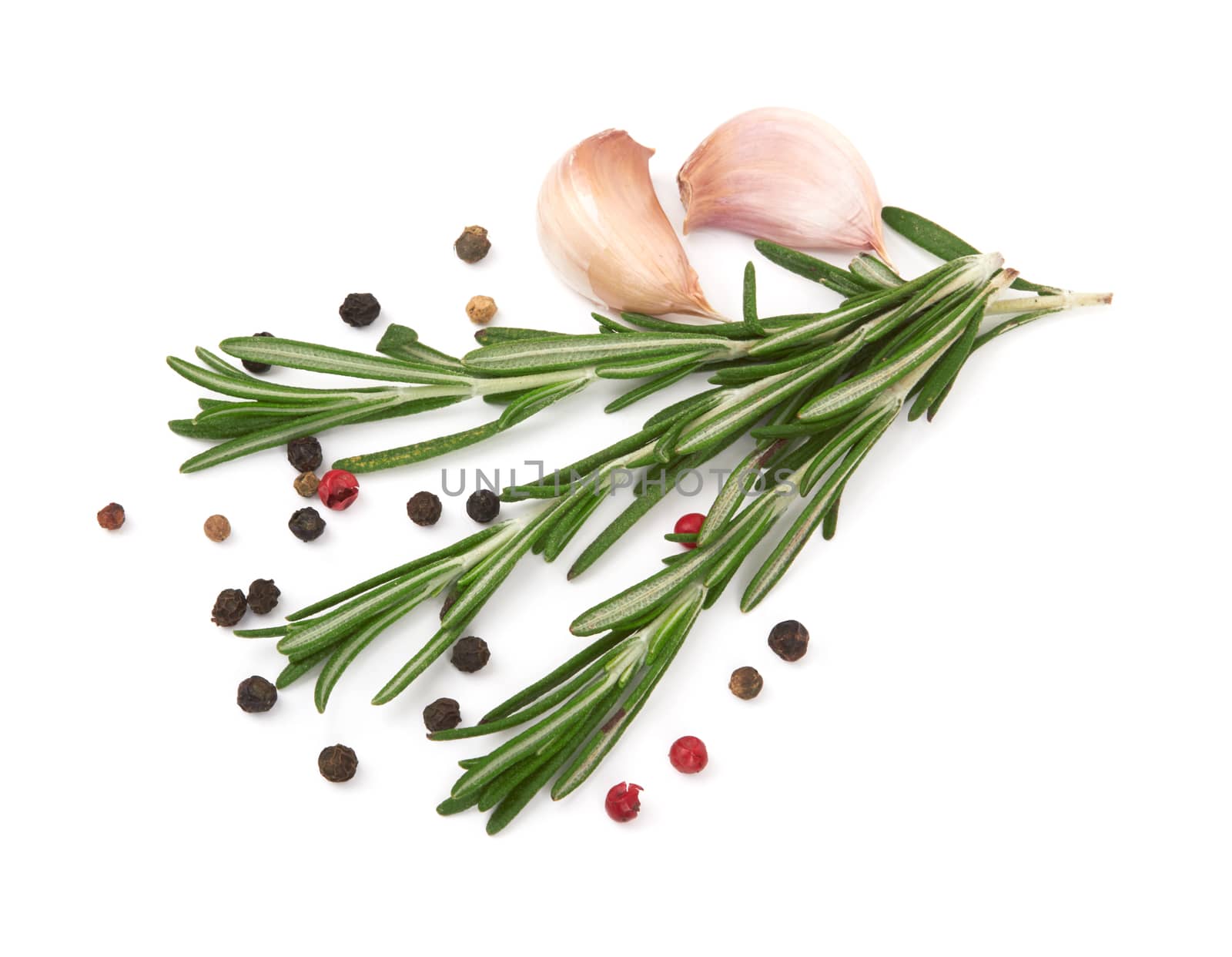 Fresh rosemary isolated on white background