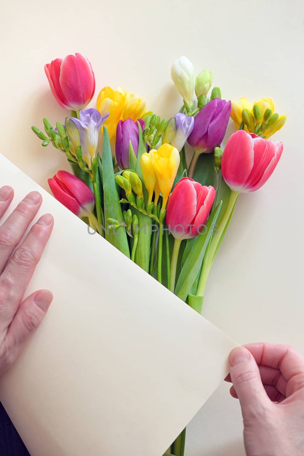 Hands and Bouquets Of Tulips and Freesia flowers