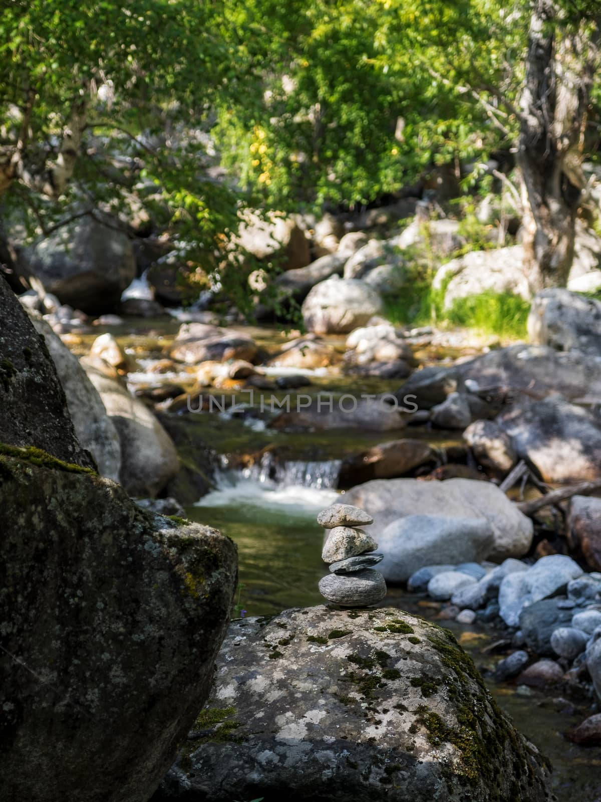 Clear day in the mountains, view from the river shore