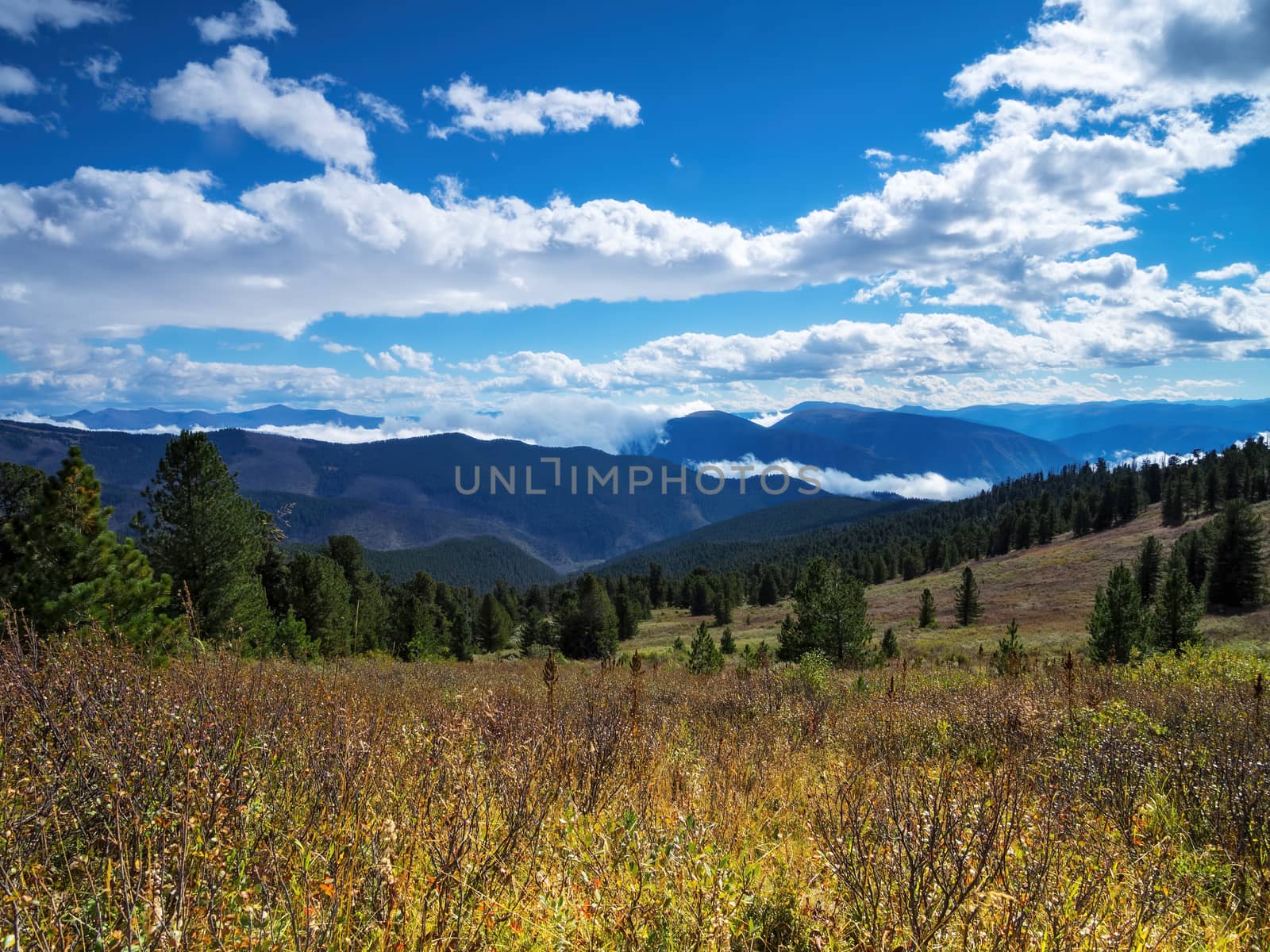 View of the hillside with the trees under the blue cloudy sky