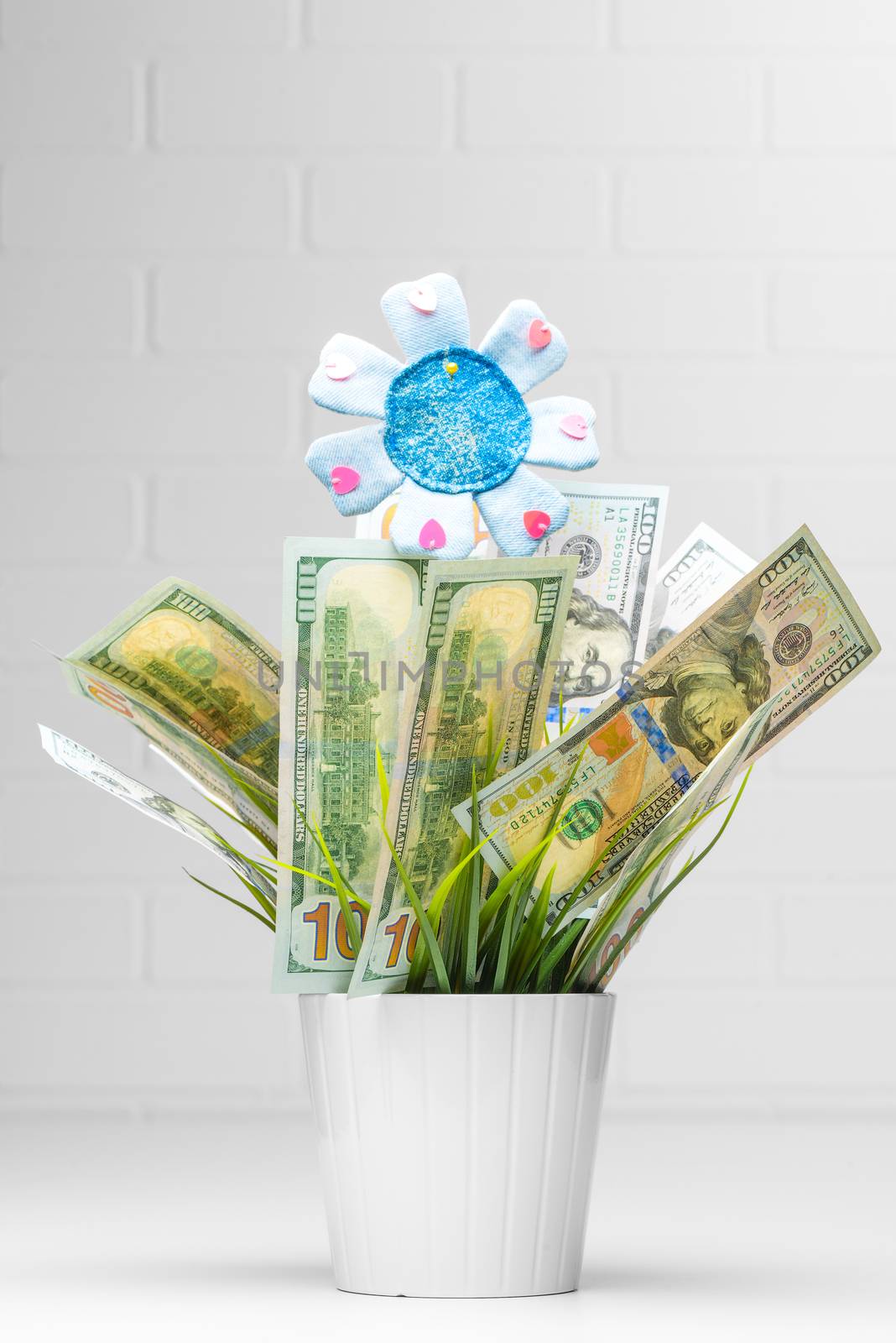 Financial growth. Money Growing in Flower Pot