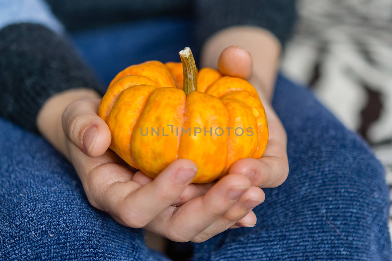 A girl holds a small orange pumpkin on her lap.