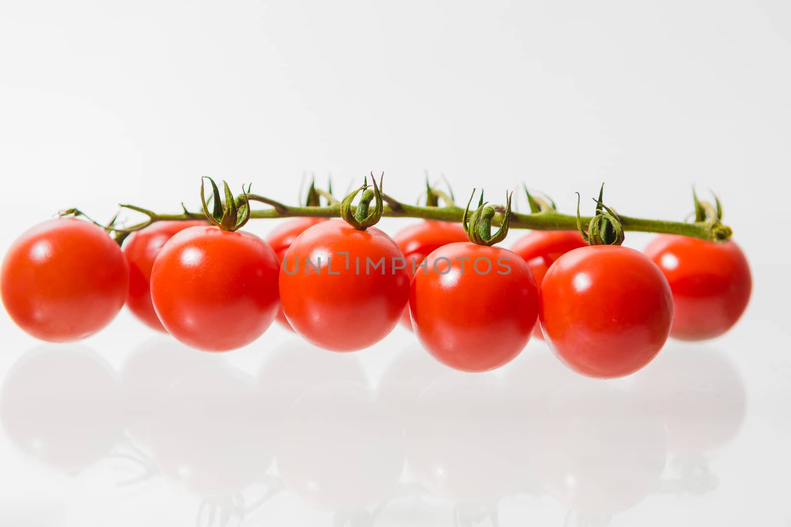 Small red Cherry tomatoes are lying branch isolated on white background with reflection