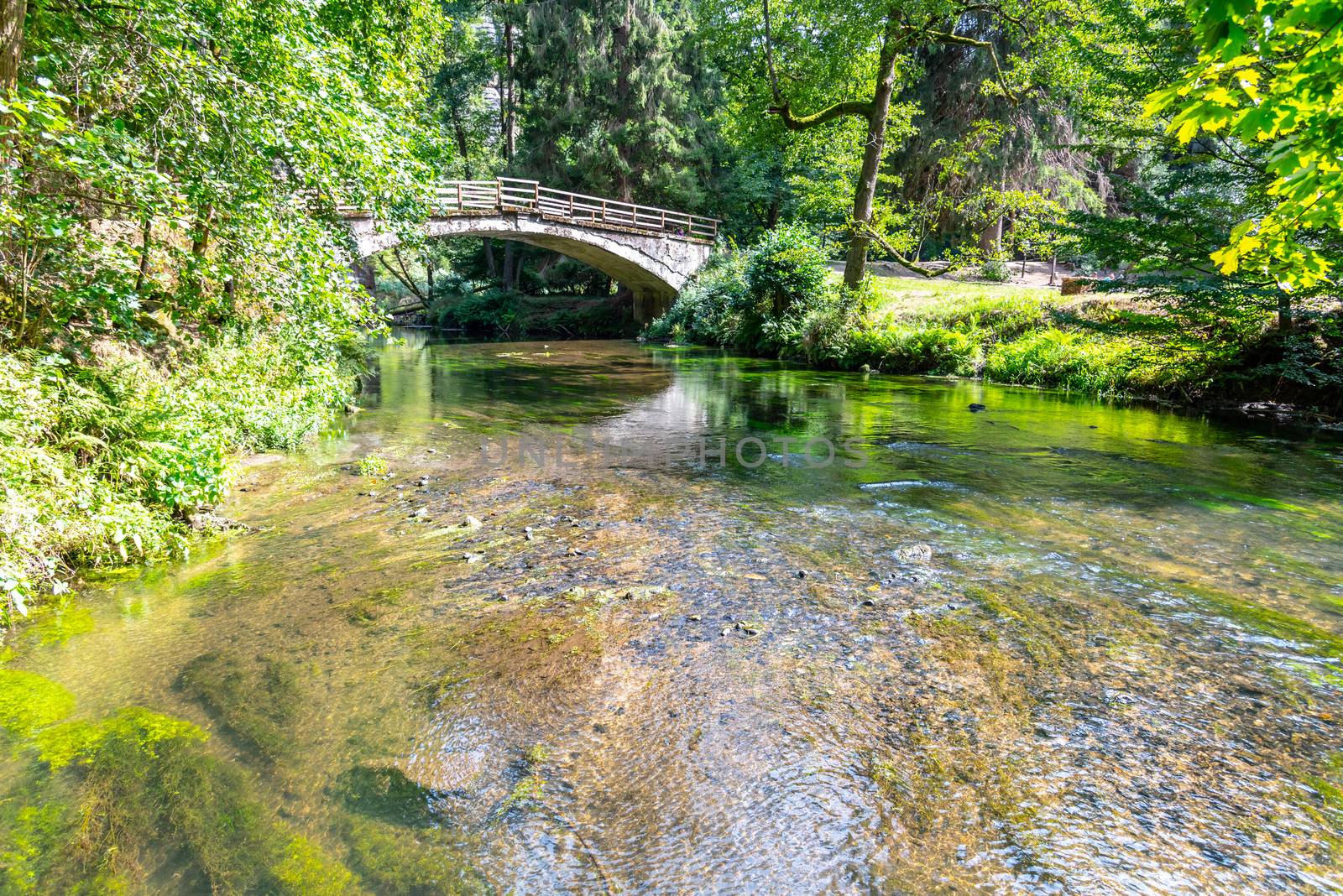 Bridge over river Kamenice in Bohemian Switzerland National Park, Czech Republic.