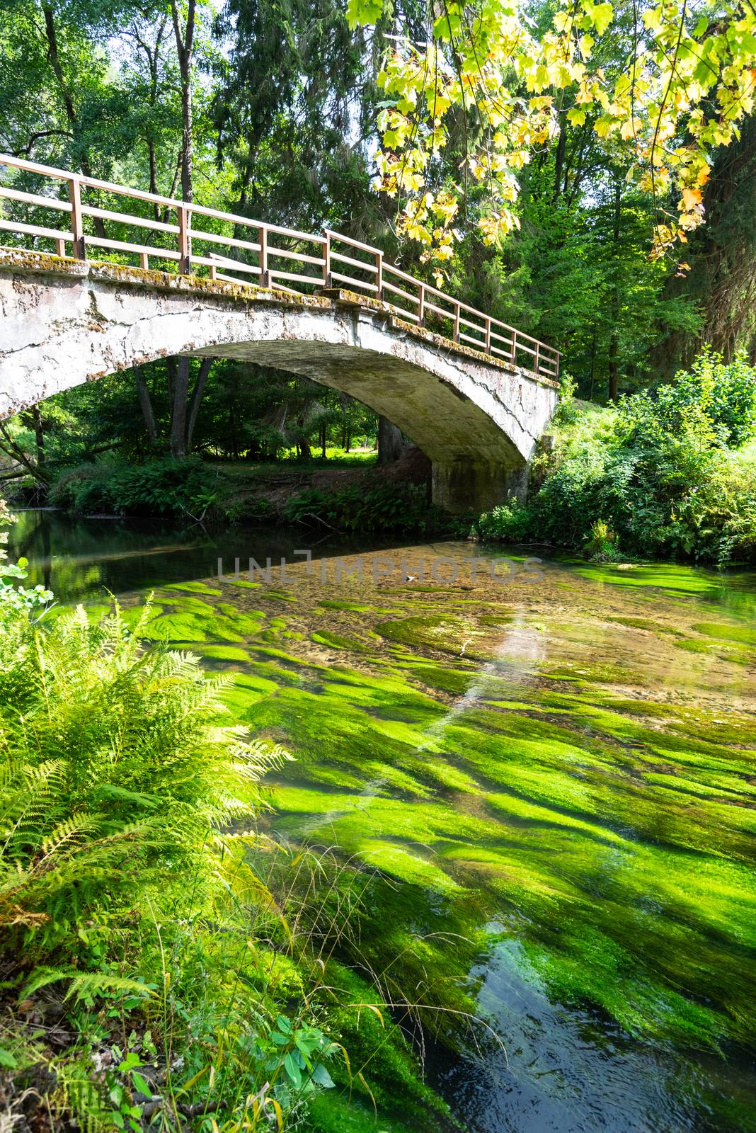 Bridge over river Kamenice in Bohemian Switzerland National Park, Czech Republic by pyty