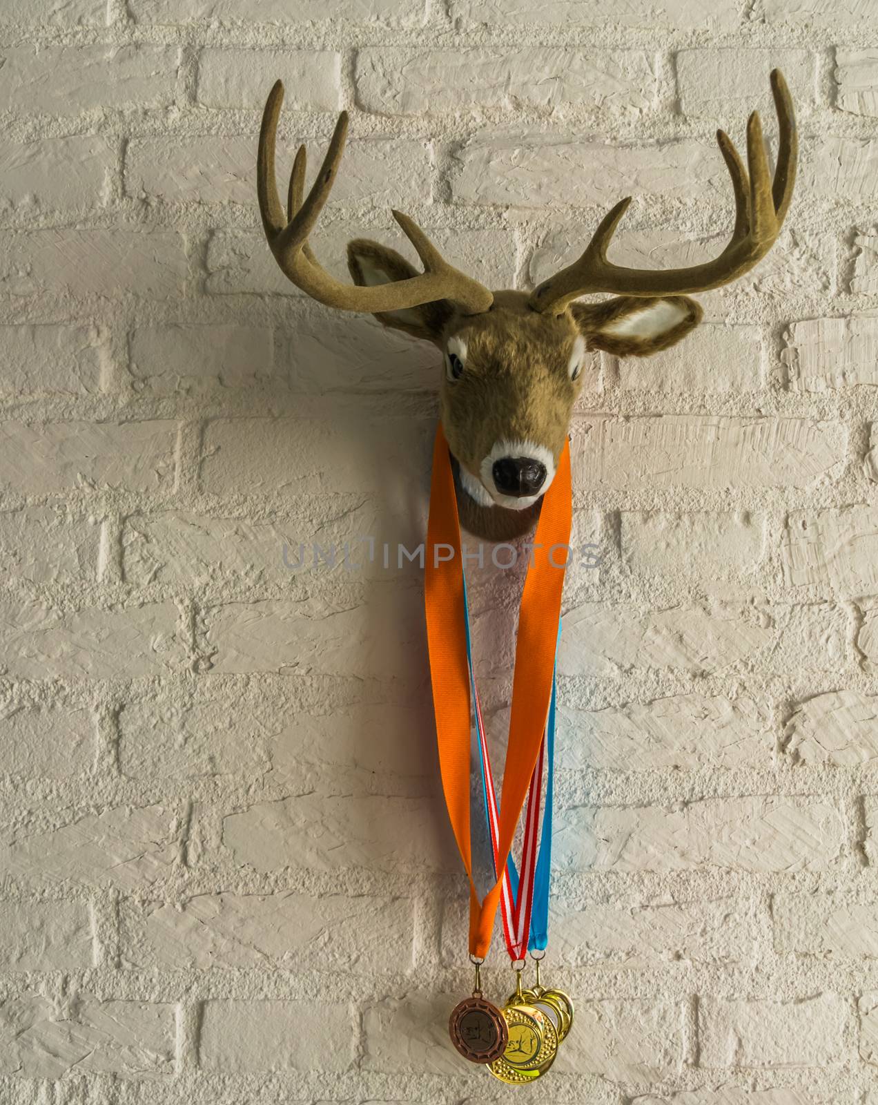deer head with antlers hanging on a white brick wall, deer with sport medals around its neck by charlottebleijenberg