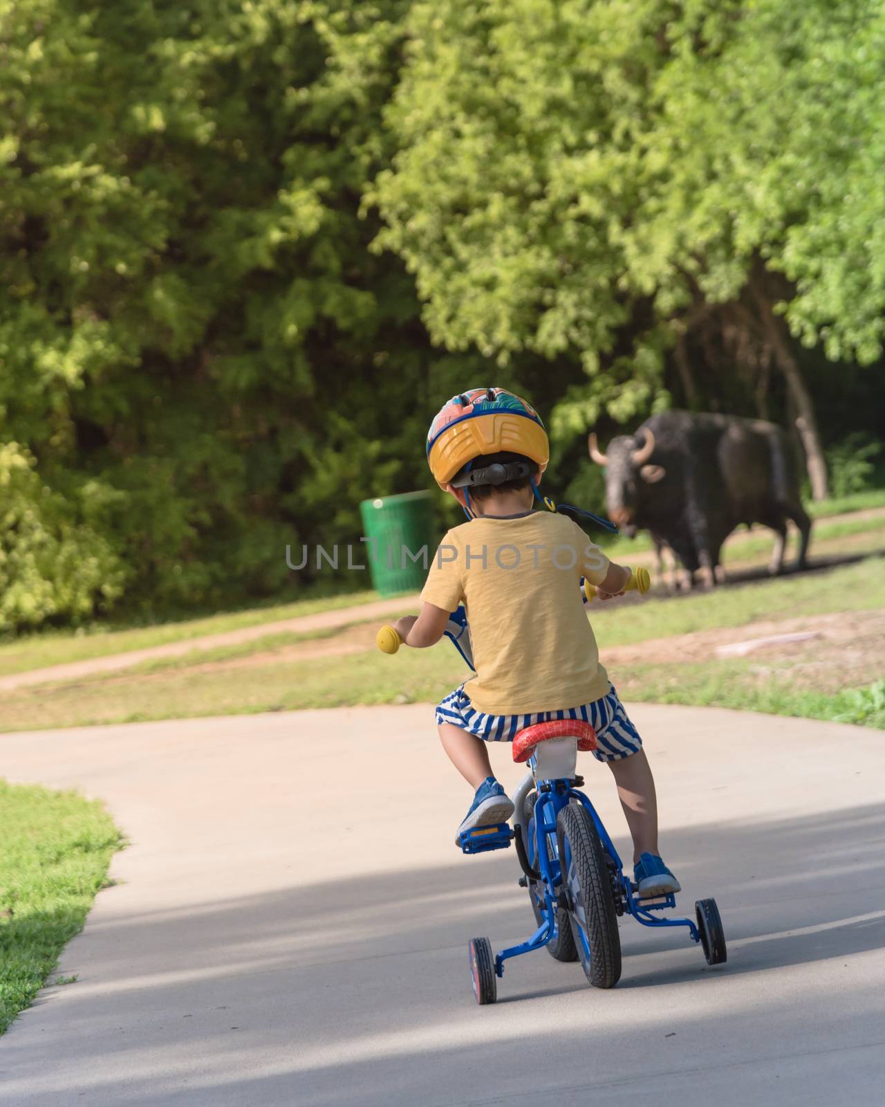 Back view of healthy Asian kid riding bicycle in the American pa by trongnguyen