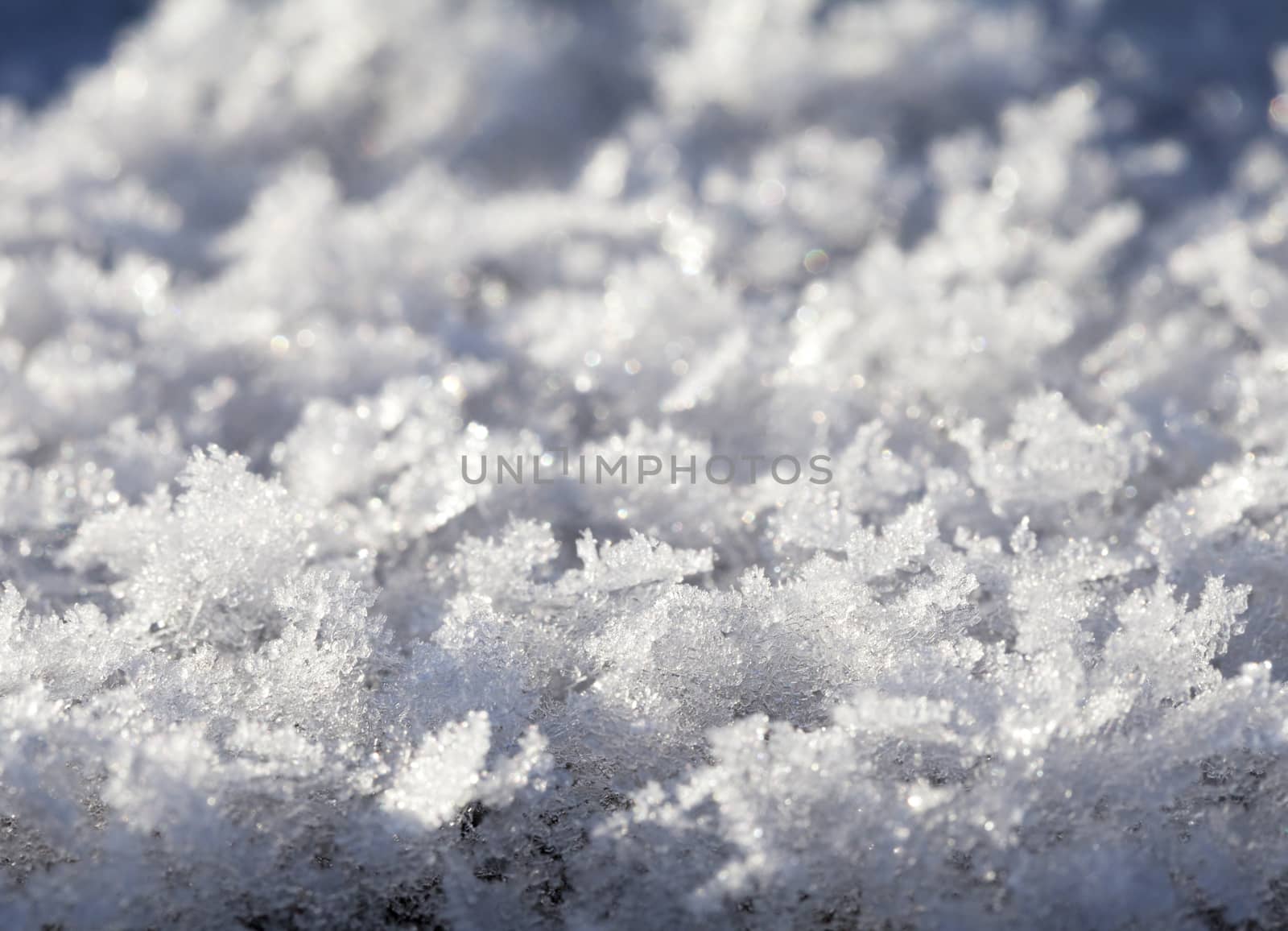 Macro shot of snow crystals, side view