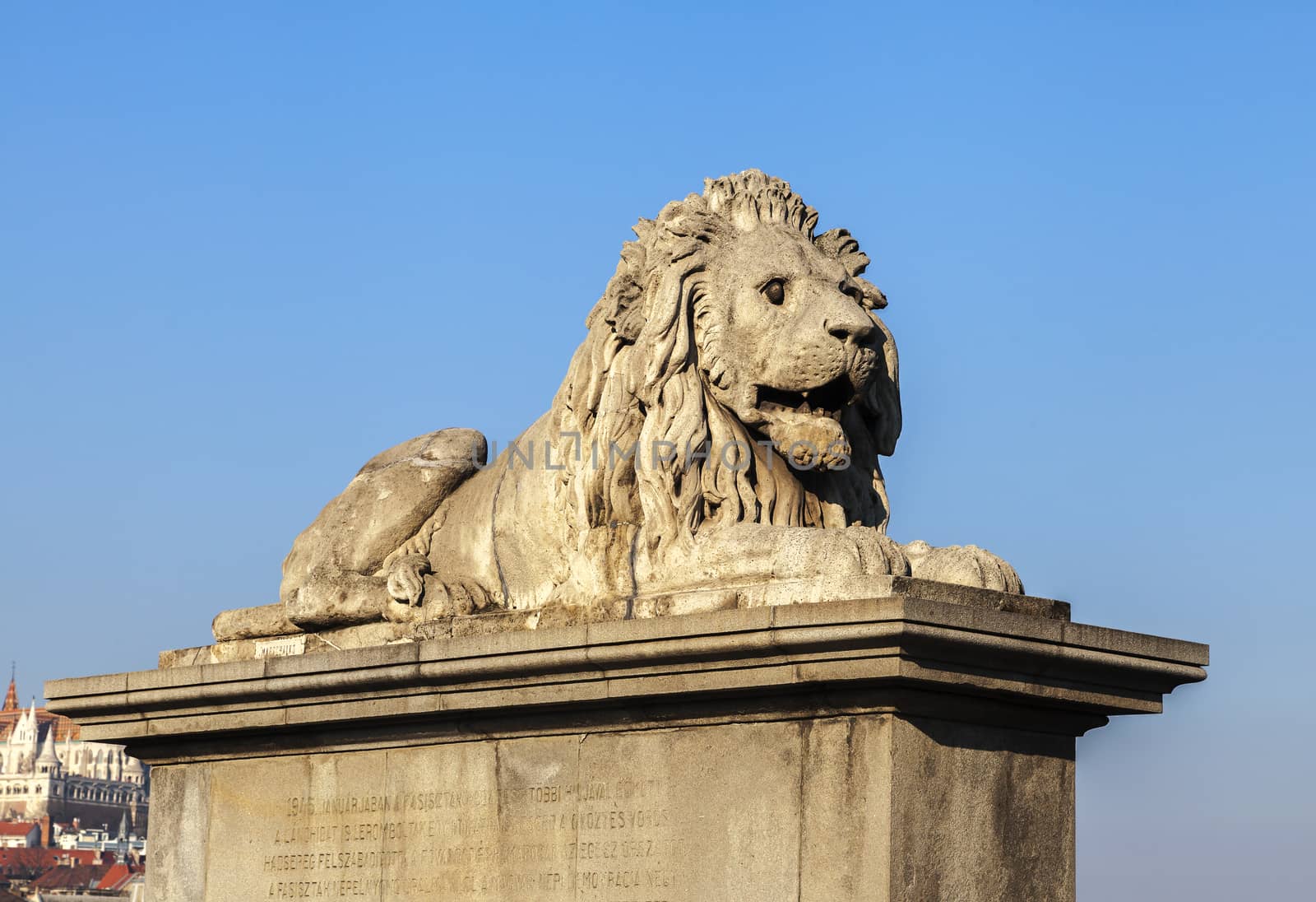 Lion on the Szechenyi Chain Bridge in Budapest by Goodday