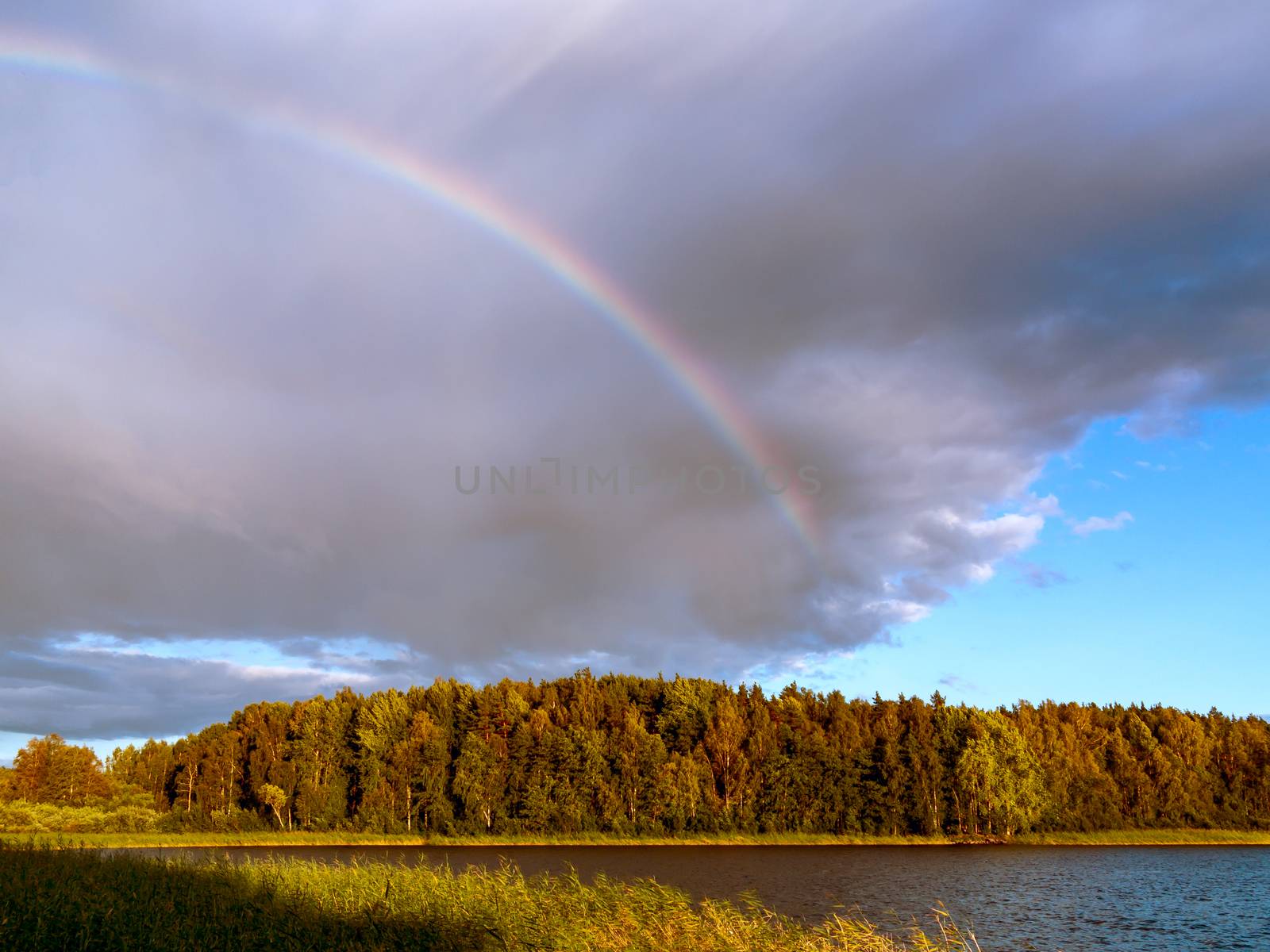 Rainbow over the lake and forest at sunset on a summer day.