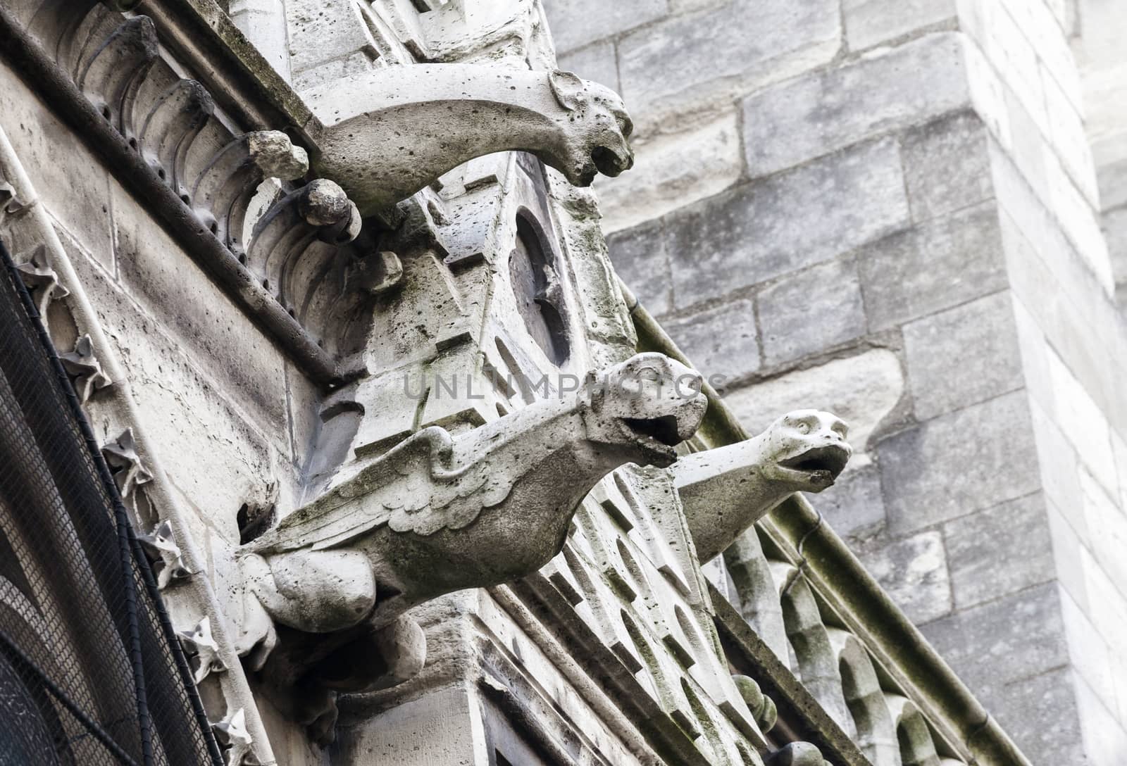 Gargoyles of Notre Dame cathedral in Paris by Goodday