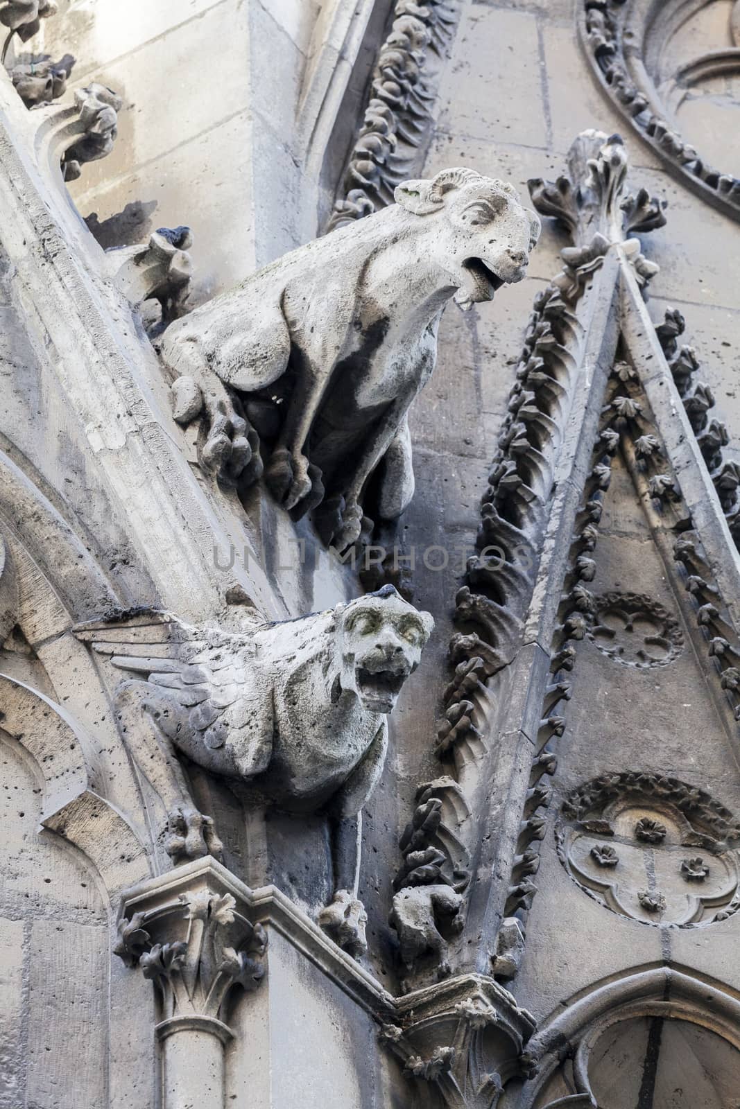 Gargoyles of Notre Dame cathedral in Paris by Goodday