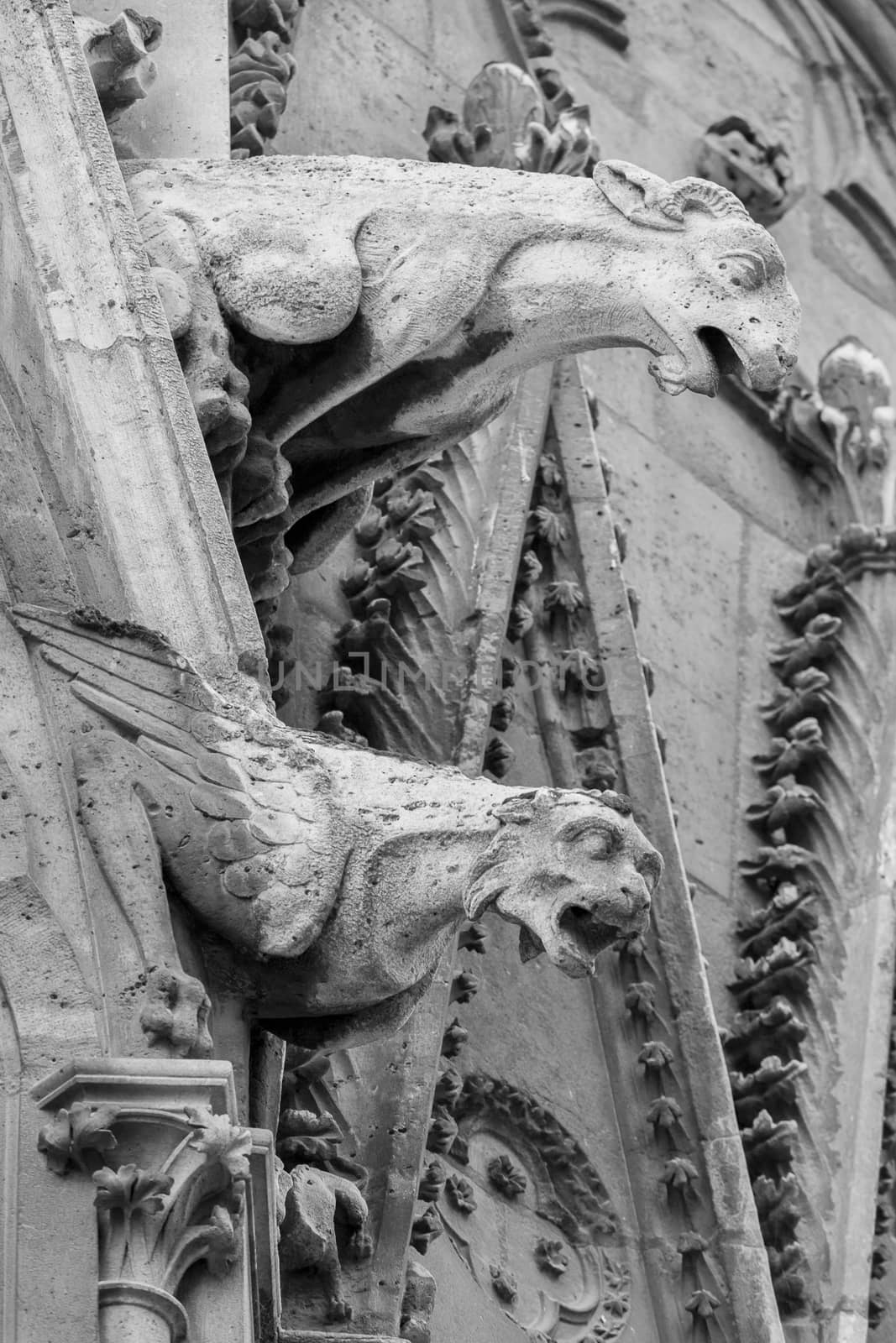 Gargoyles of Notre Dame cathedral in Paris by Goodday