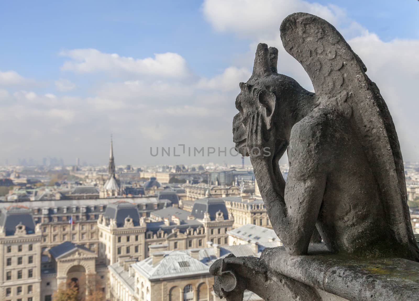 Chimera on Notre Dame de Paris by Goodday