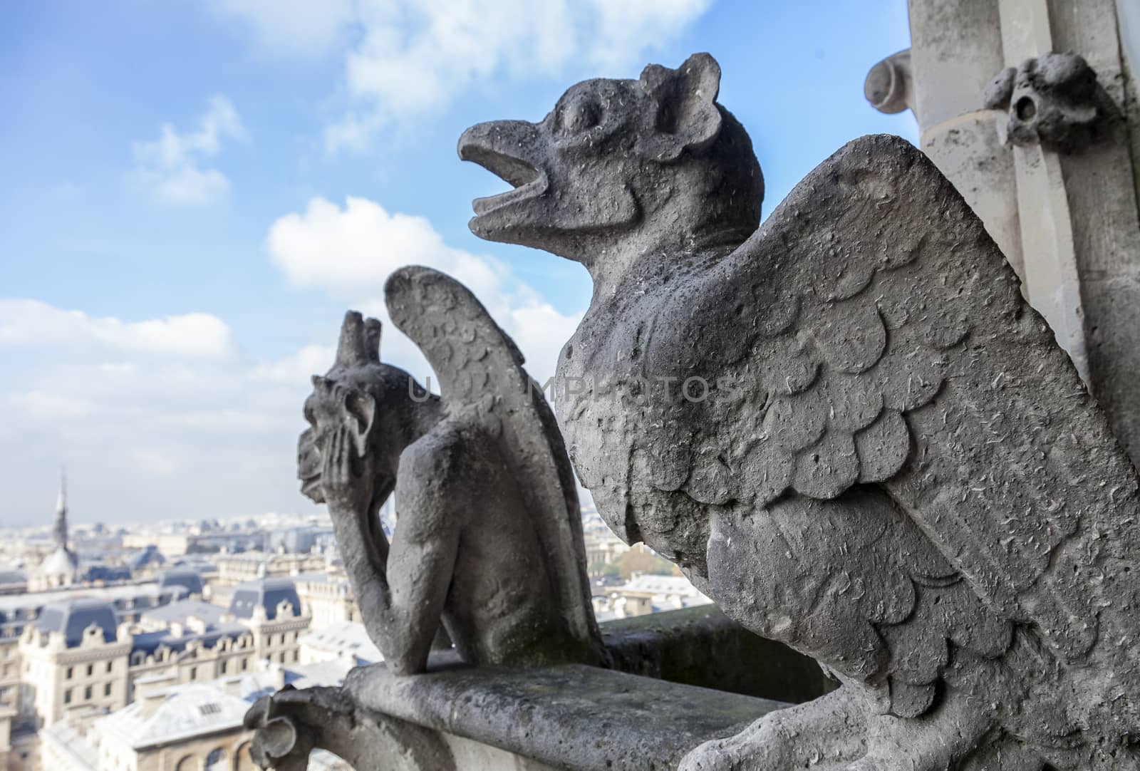 Chimeras on Notre Dame de Paris by Goodday