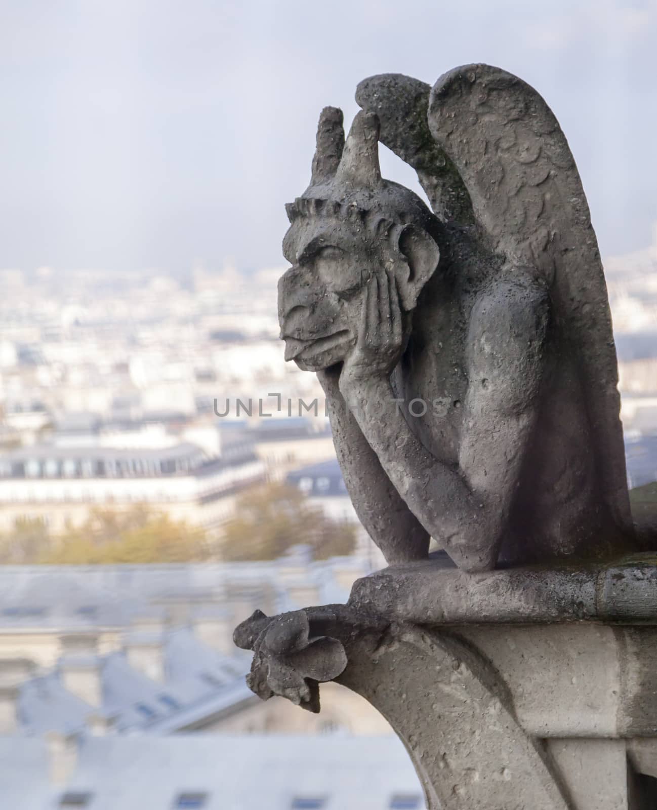 Chimera on Notre Dame de Paris by Goodday