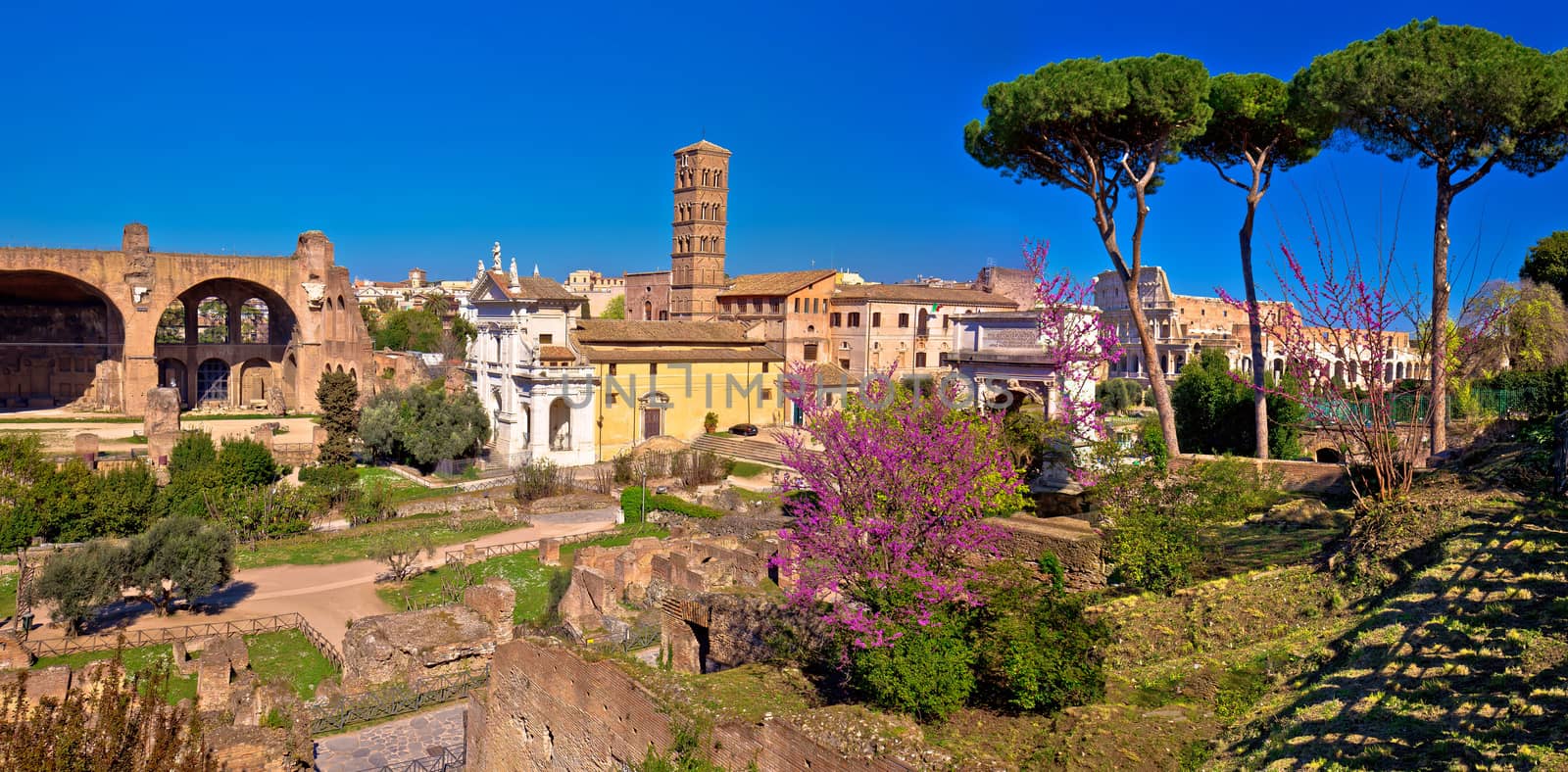 Scenic springtime panoramic view over the ruins of the Roman Forum in Rome, capital of Italy