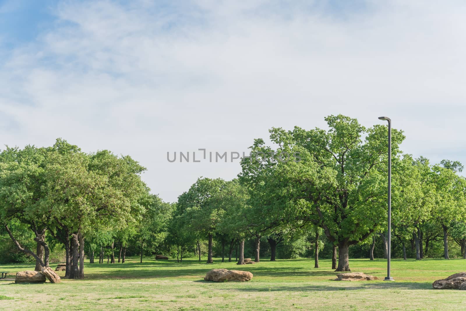 Beautiful park with grassy lawn, trees, decorative landscape rock. Nature area near Dallas, Texas, USA