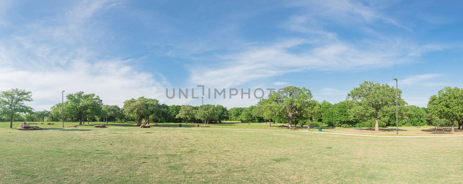 Panoramic view a natural urban park with grass lawn and tree lus by trongnguyen