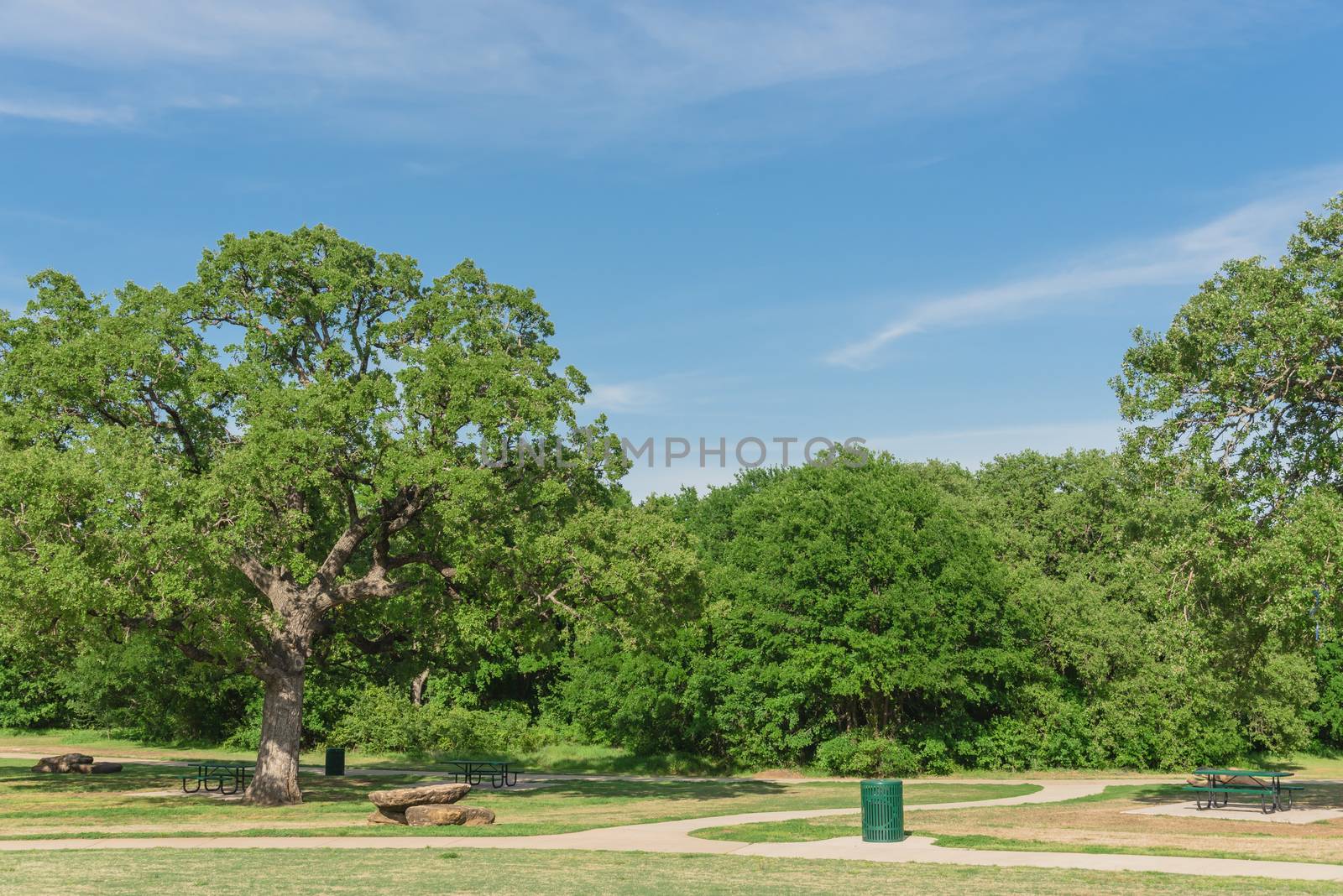Picnic tables at public nature park in Texas, America by trongnguyen