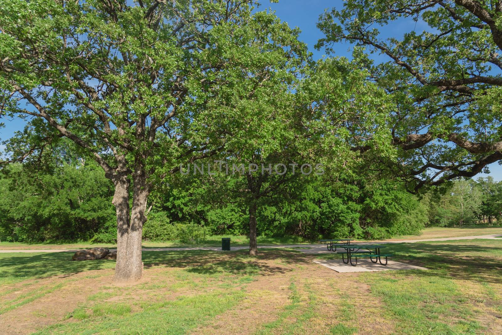 Public city park near Dallas, Texas, USA with picnic table, bin trash, trail and a lot of trees