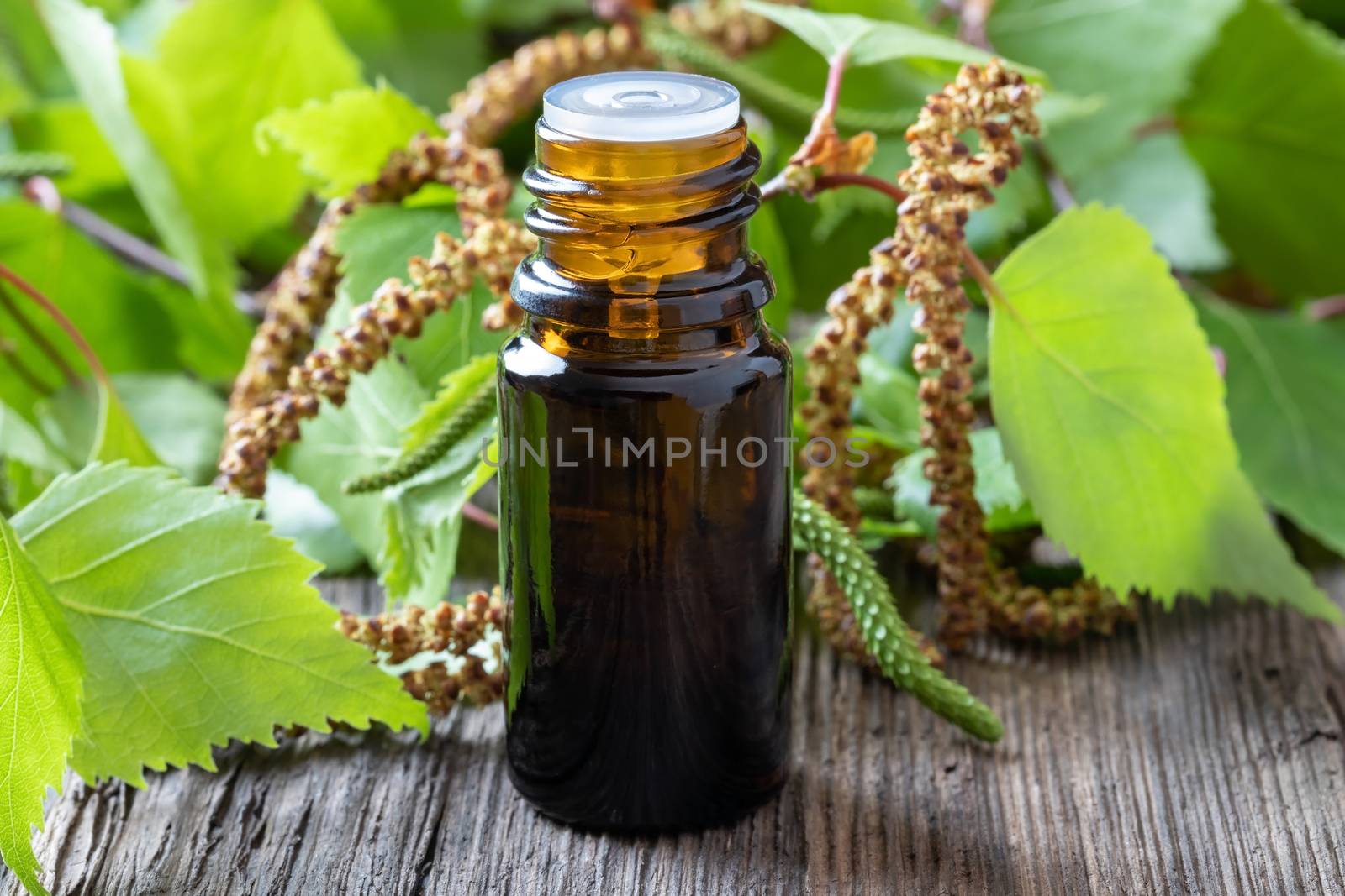 A bottle of essential oil with fresh birch branches
