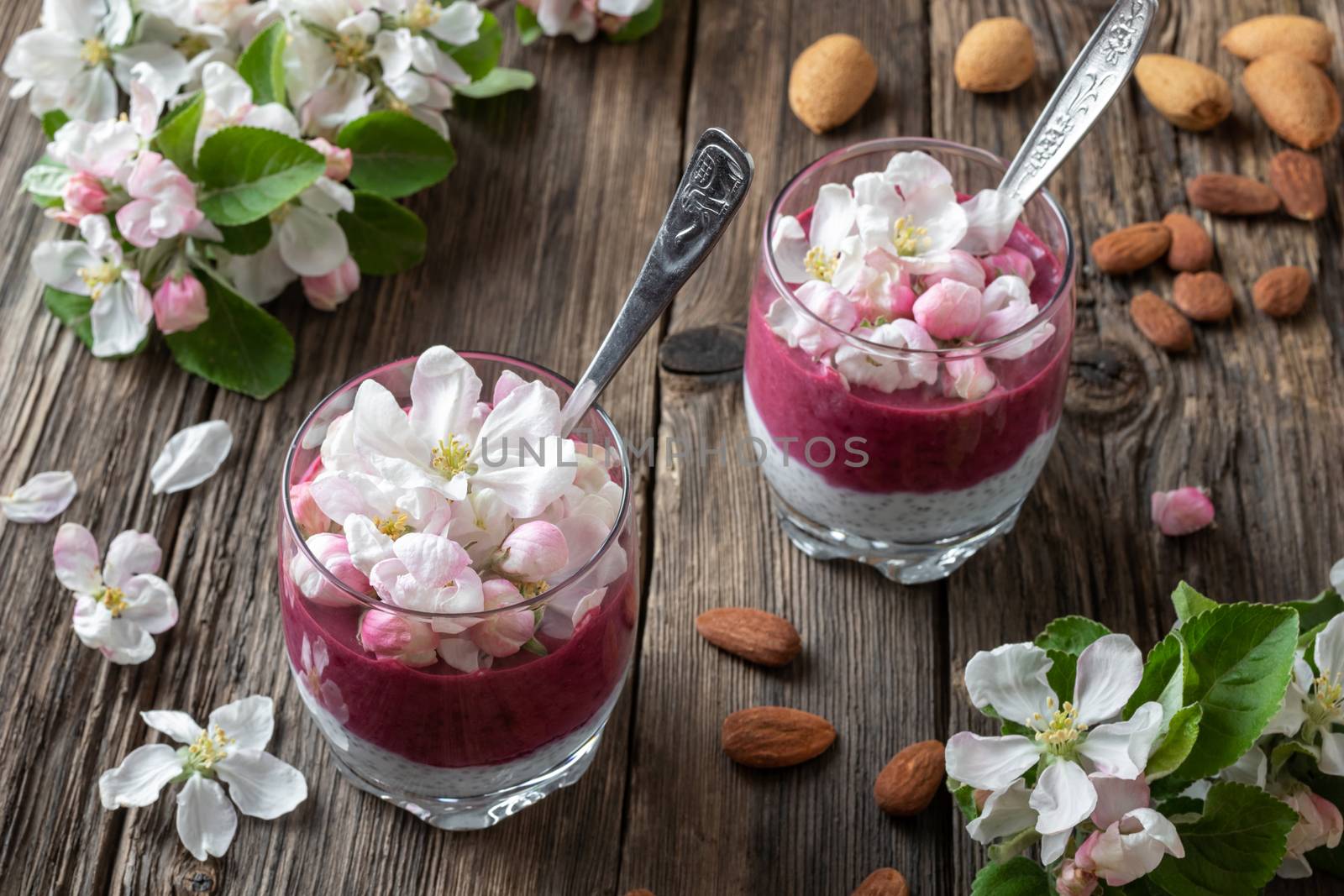 Layered chia pudding with almond milk, yogurt, blueberries and apple blossoms