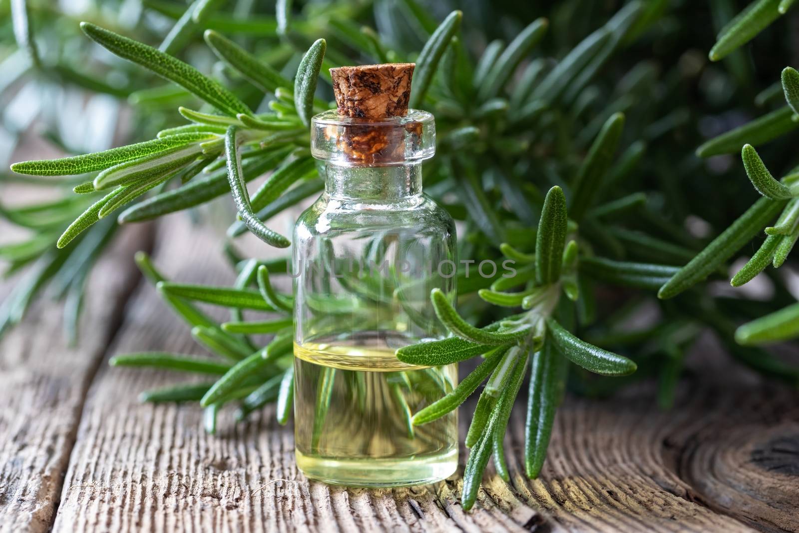 A bottle of essential oil with fresh rosemary twigs