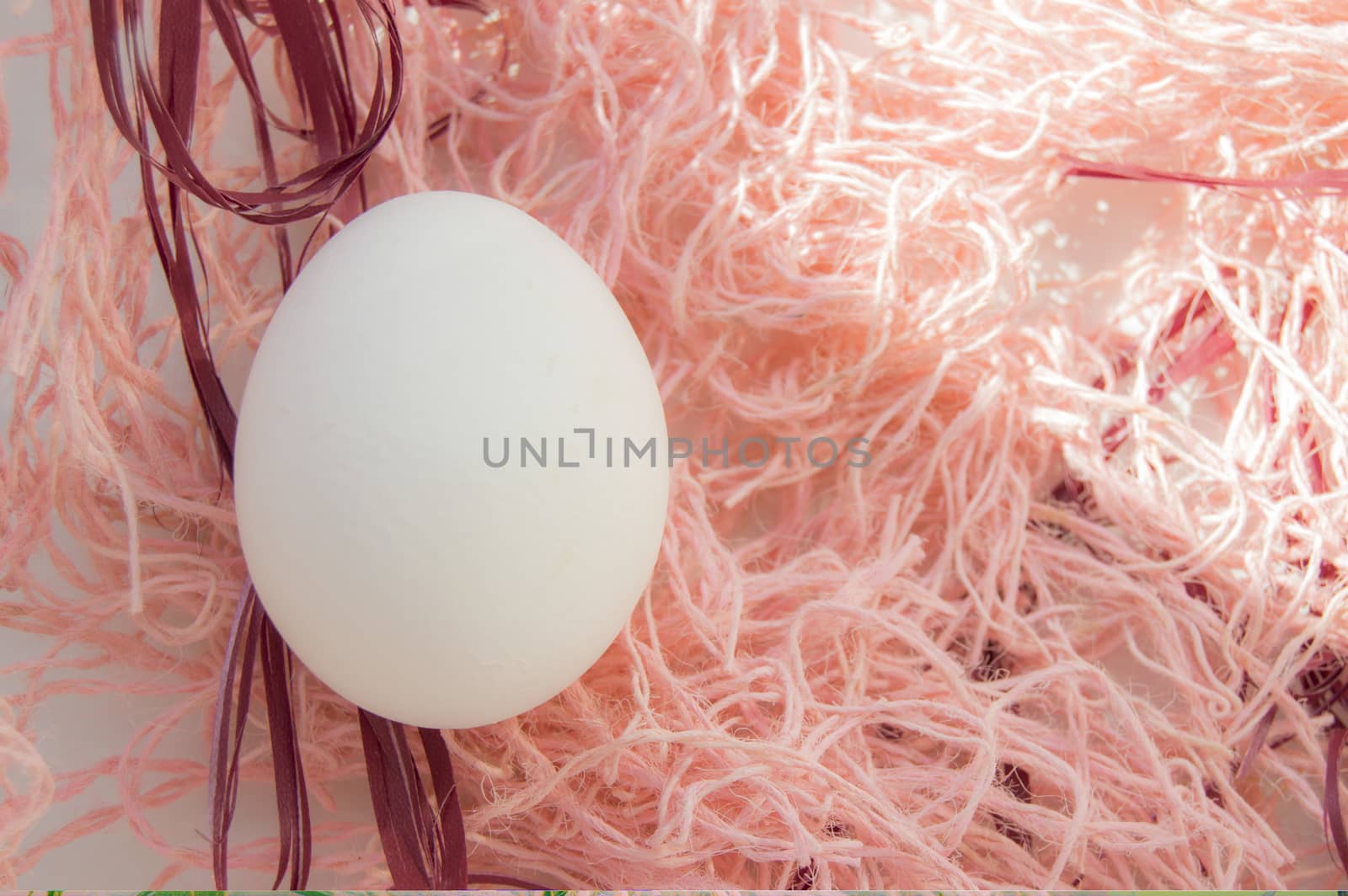 Easter concept, white egg on pink background, woven fabric nest, top view, copy space, sunlight by claire_lucia