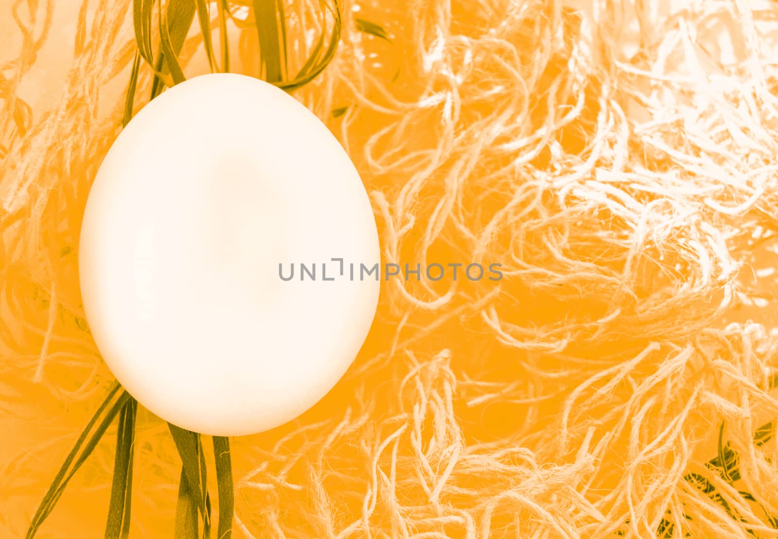 Easter white egg on gold braided nest background, top view, flat, copy space, bright light