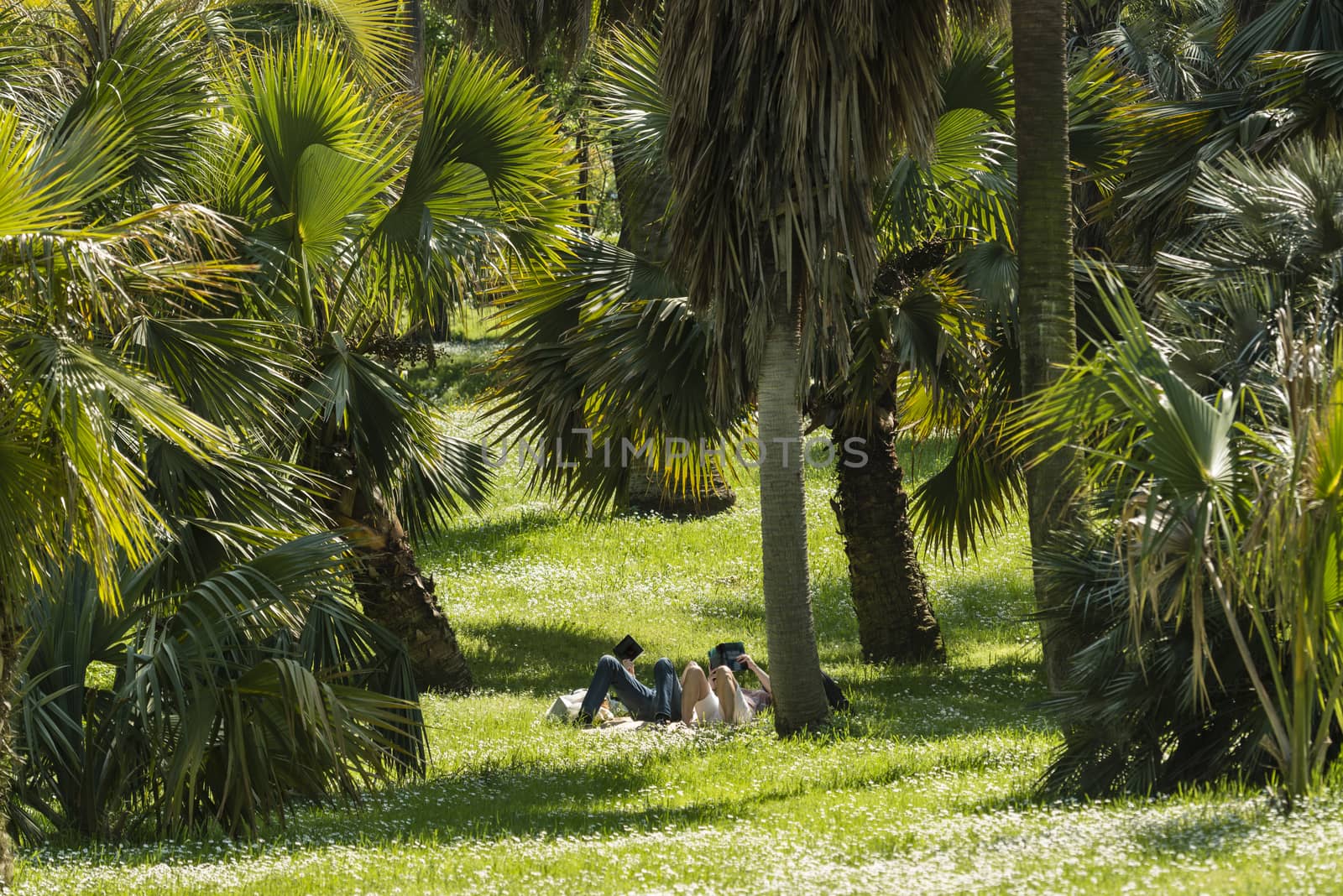 Man and woman reading books on green grass,