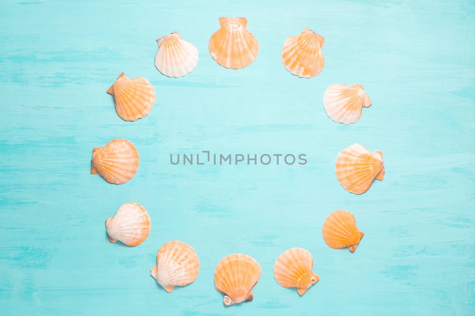 Blue sea background with copy space and round frame made of seashells, summer holiday and vacation concept.