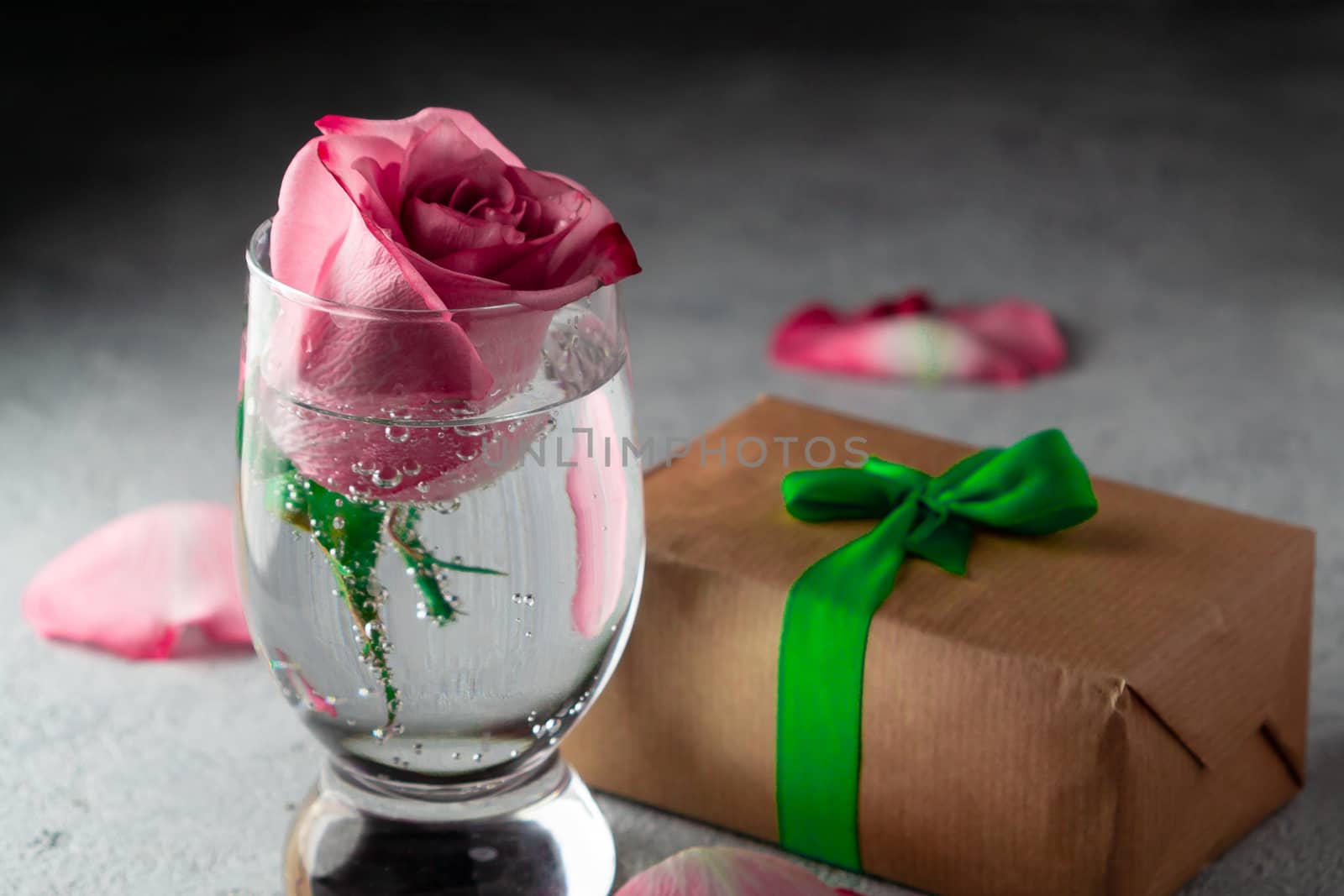 Pink rose in a glass of water, rose petals and a box with a gift on the table.